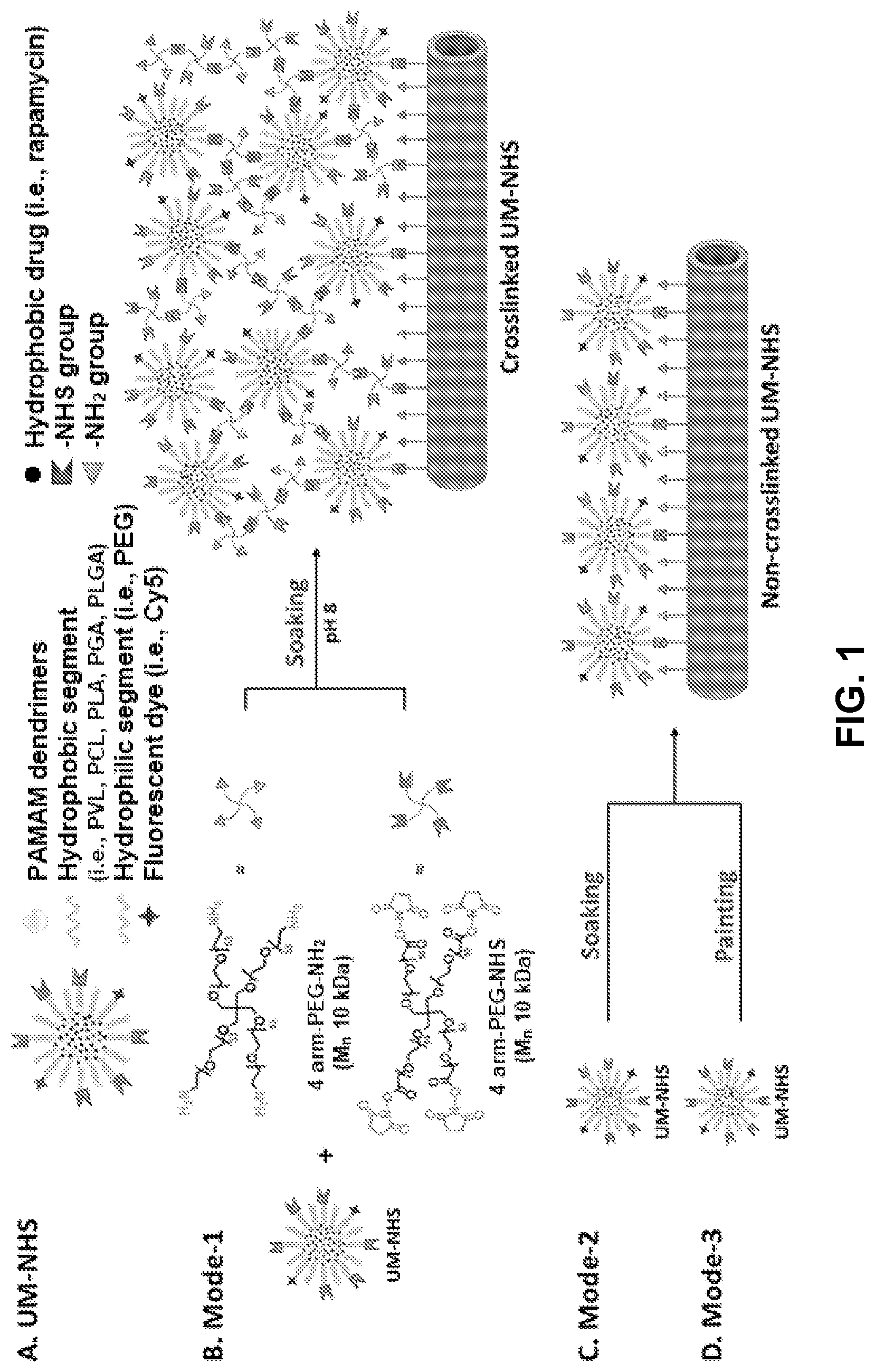 Patent US12616656 — Adventitial painting modality of local drug delivery to abate intimal hyperplasia — Figure 1