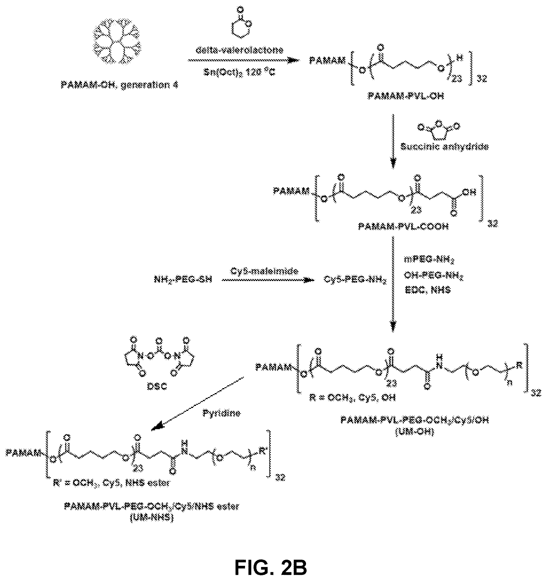 Patent US12616656 Figure 3 – Adventitial painting modality of local drug delivery to abate intimal hyperplasia