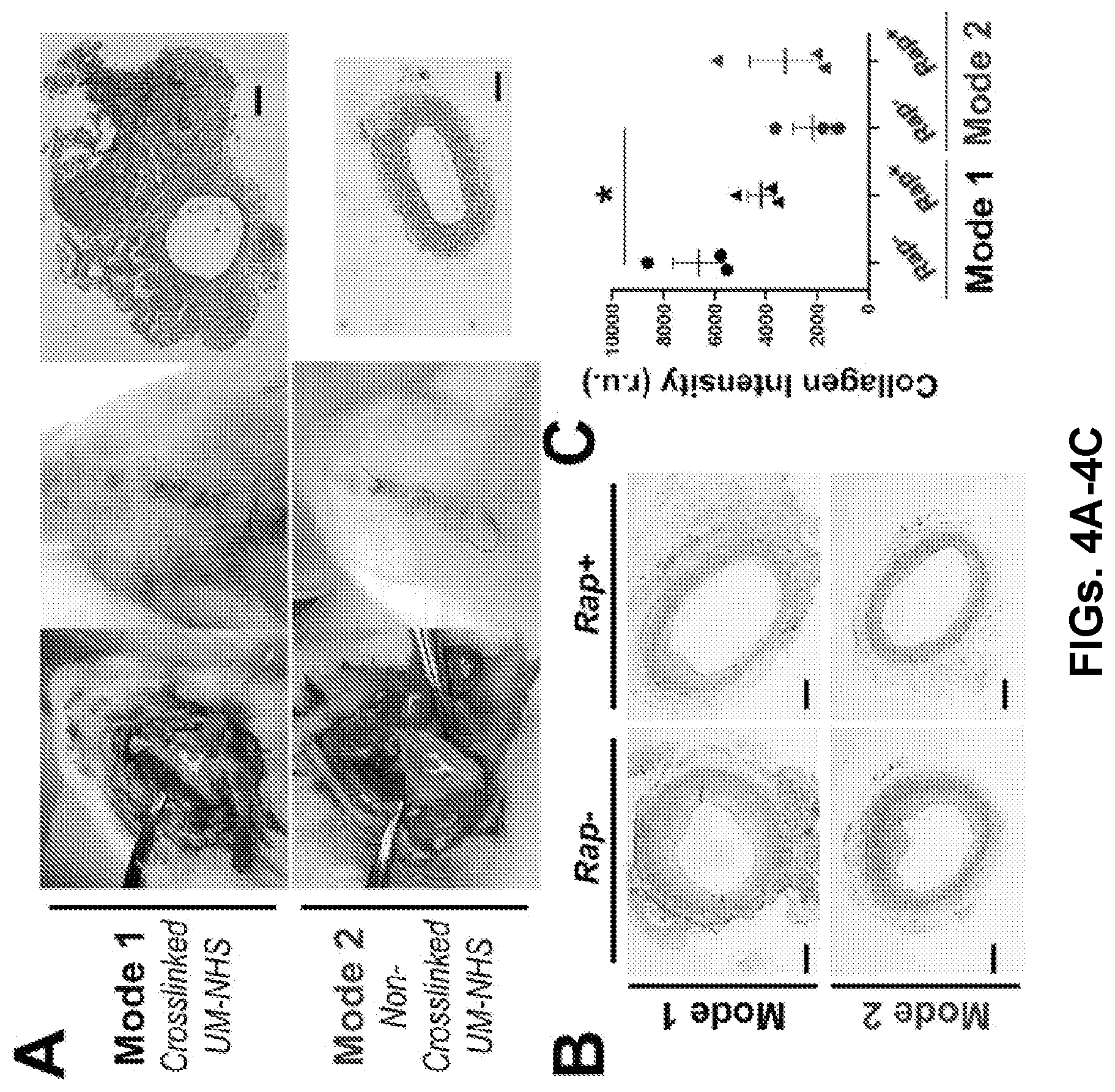 Patent US12616656 Figure 6 – Adventitial painting modality of local drug delivery to abate intimal hyperplasia