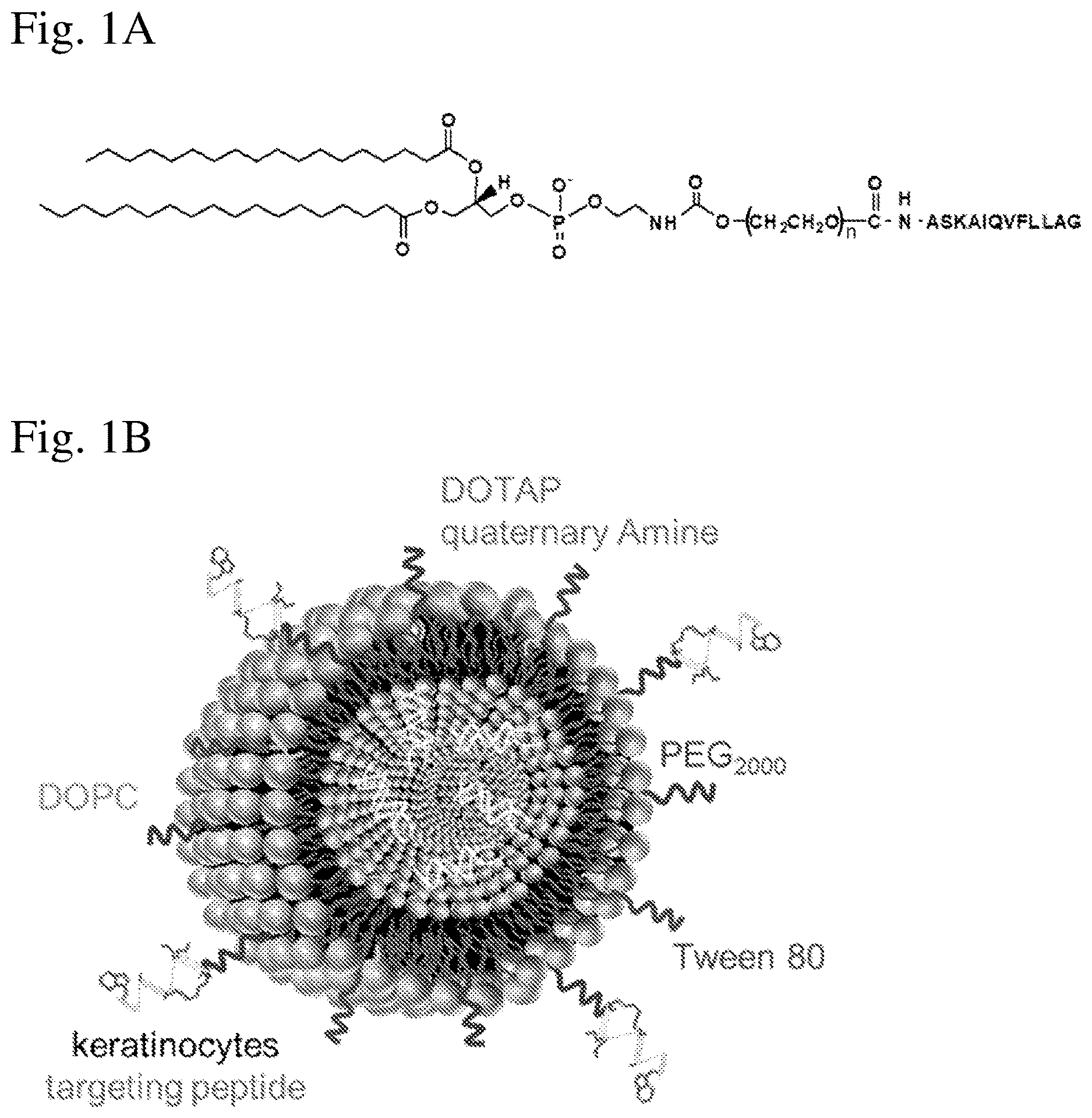 Patent US12616657 Figure 1 – Cell-targeted nanoparticles to inhibit RNA cargo