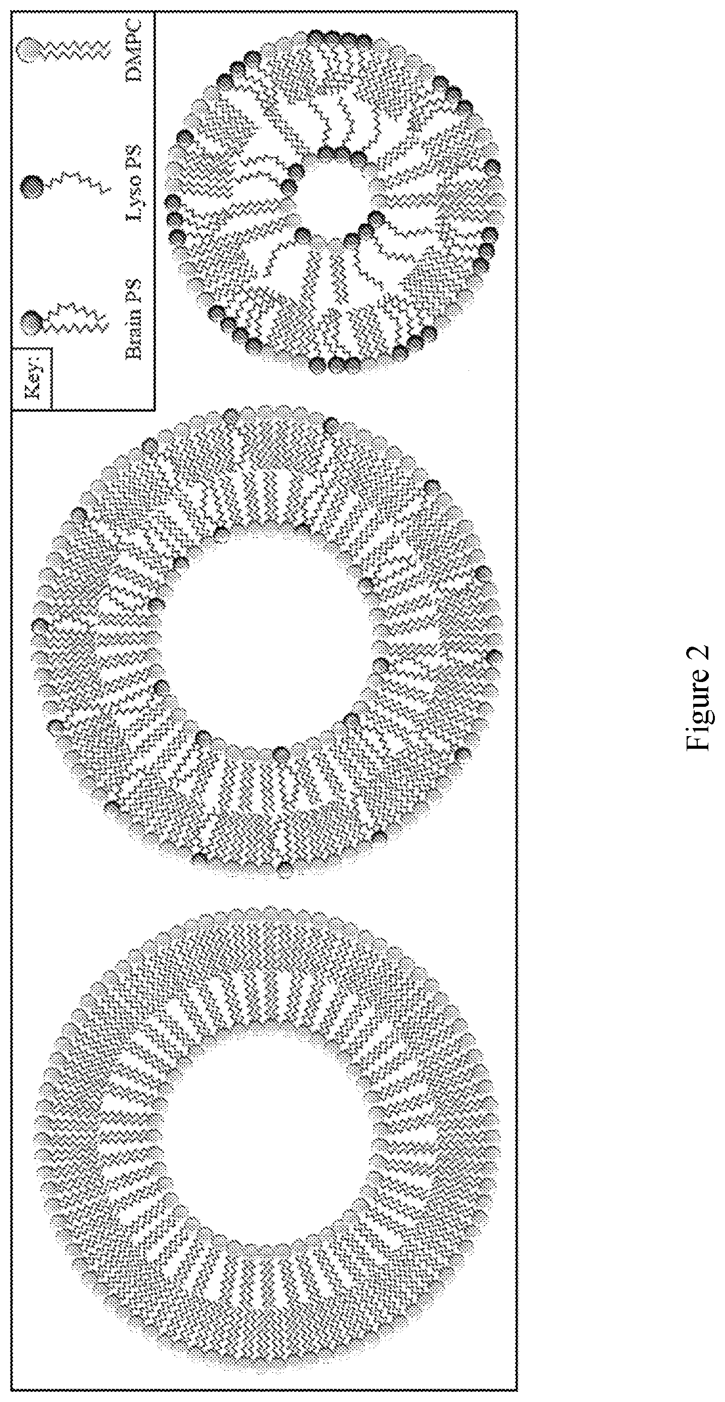 Patent US12616658 Figure 2 – Method for preparation of liposomes