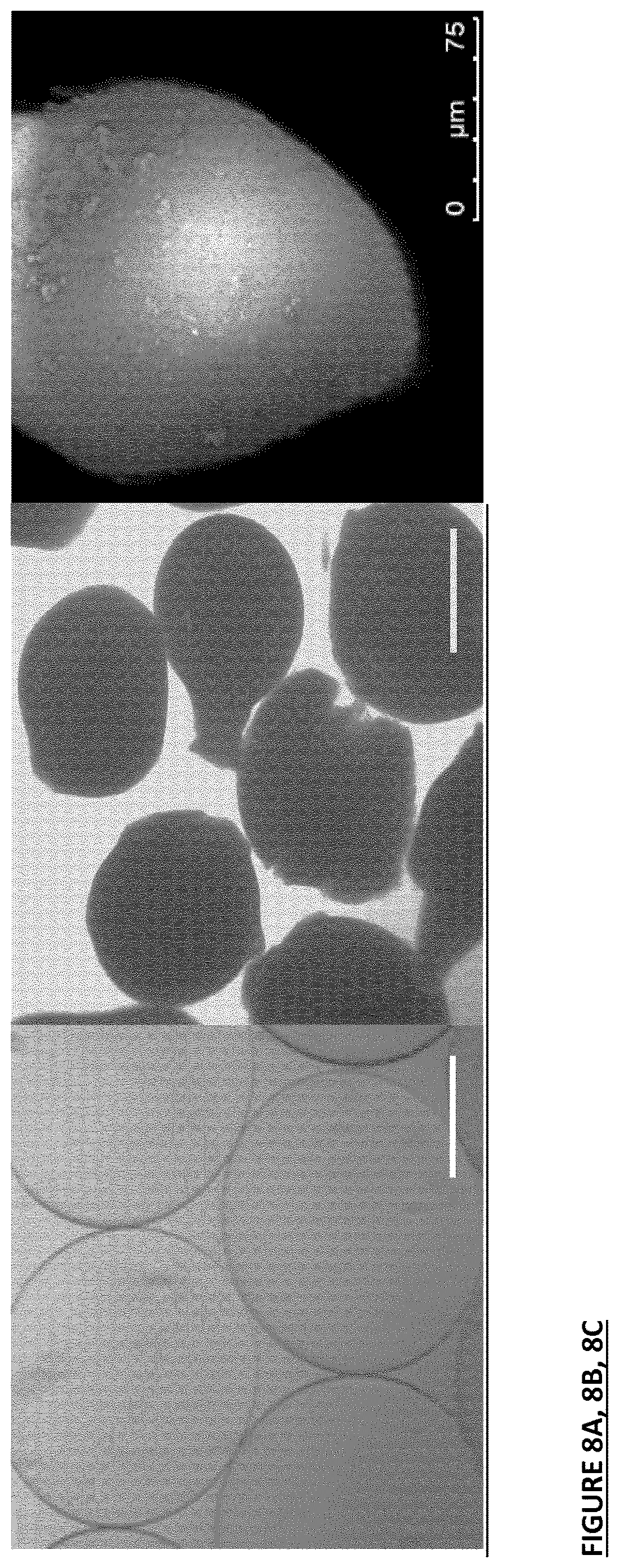 Patent US12616661 Figure 10 – Composition for type II diabetics and for use in providing sustained energy release over time