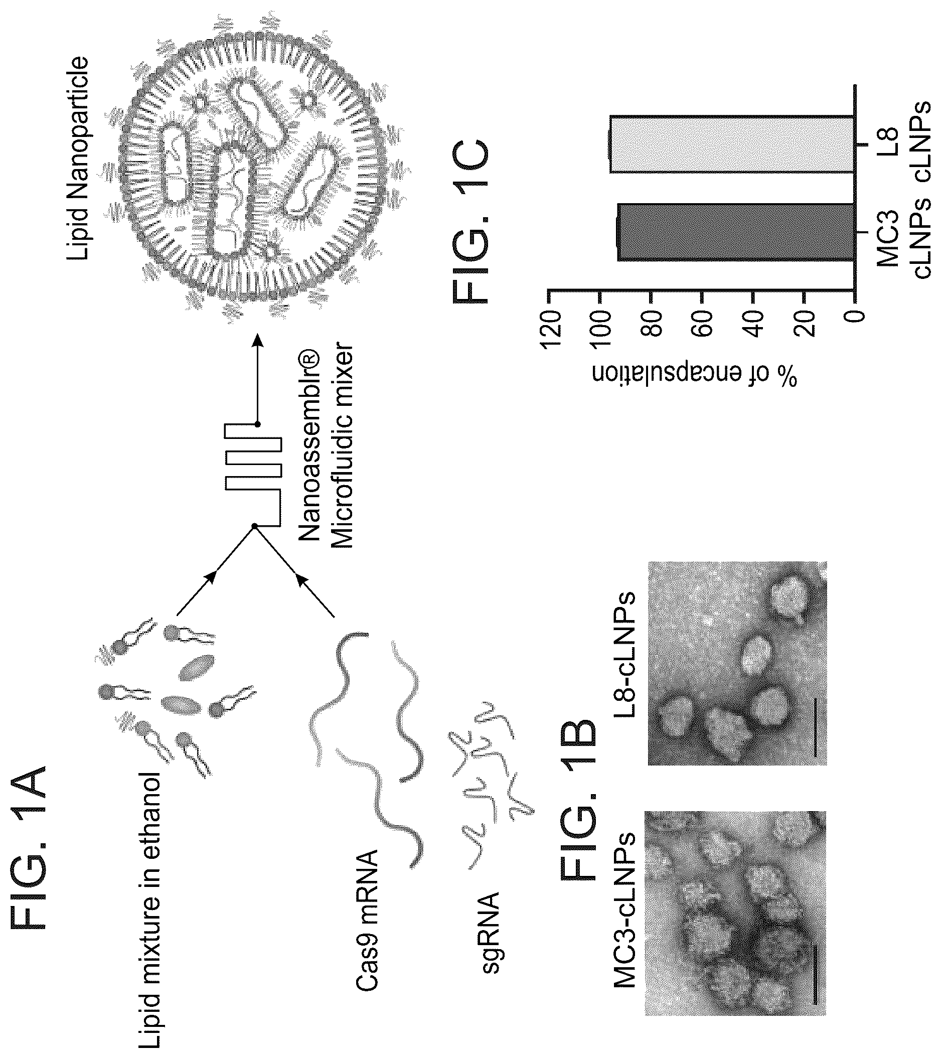 Patent US12616662 Figure 1 – Lipid particles for nucleic acid delivery and clinical applications of same