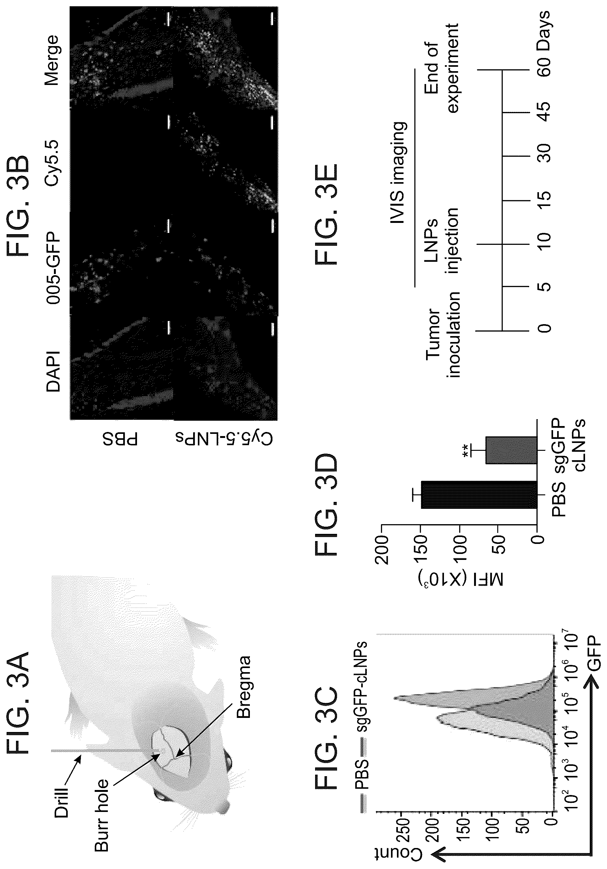 Patent US12616662 Figure 6 – Lipid particles for nucleic acid delivery and clinical applications of same