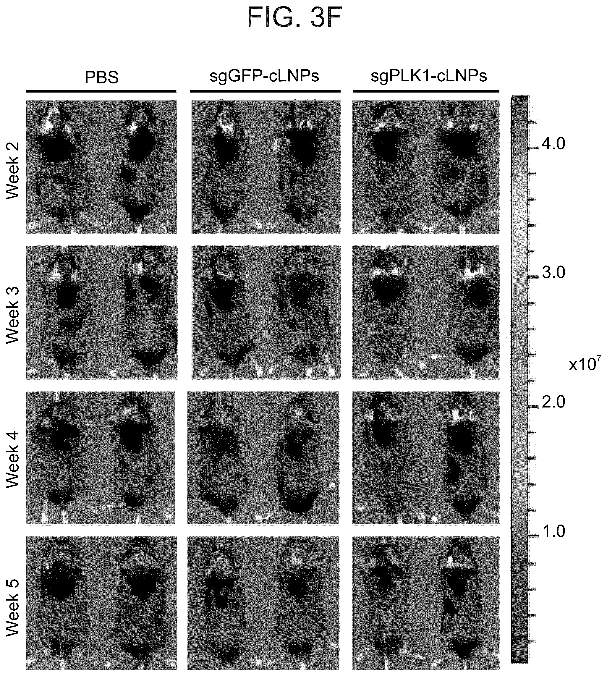 Patent US12616662 Figure 7 – Lipid particles for nucleic acid delivery and clinical applications of same