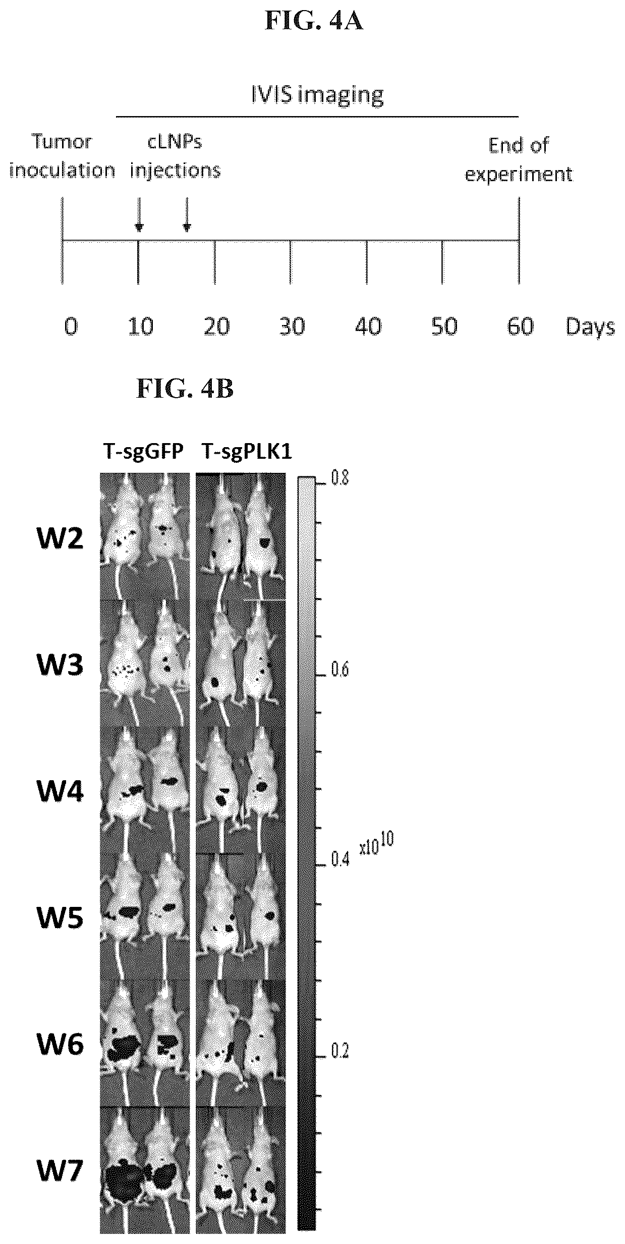 Patent US12616662 Figure 9 – Lipid particles for nucleic acid delivery and clinical applications of same