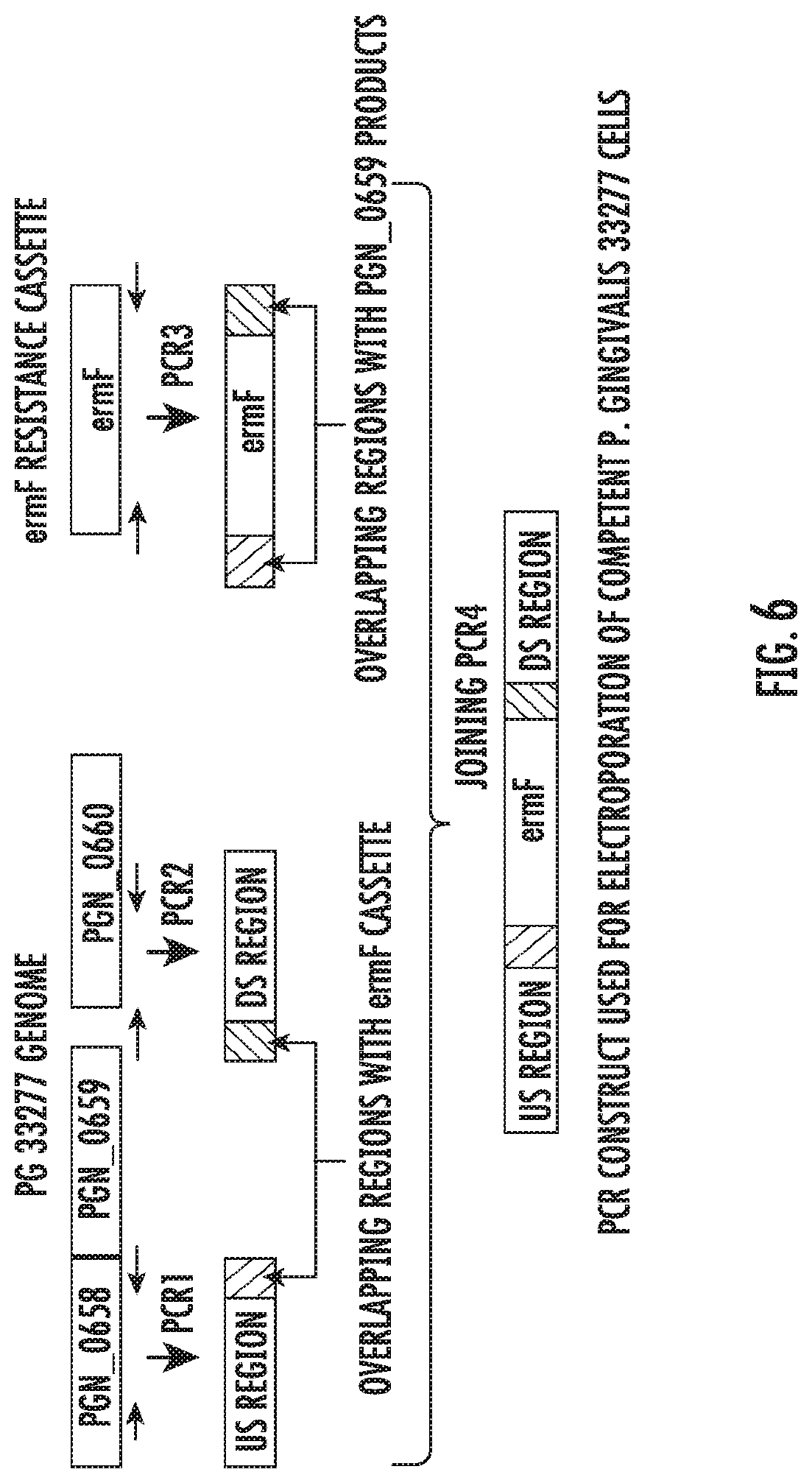 Patent US12616663 Figure 8 – Plant-derived exosome-like nanoparticles inhibit bacterial pathogenicity