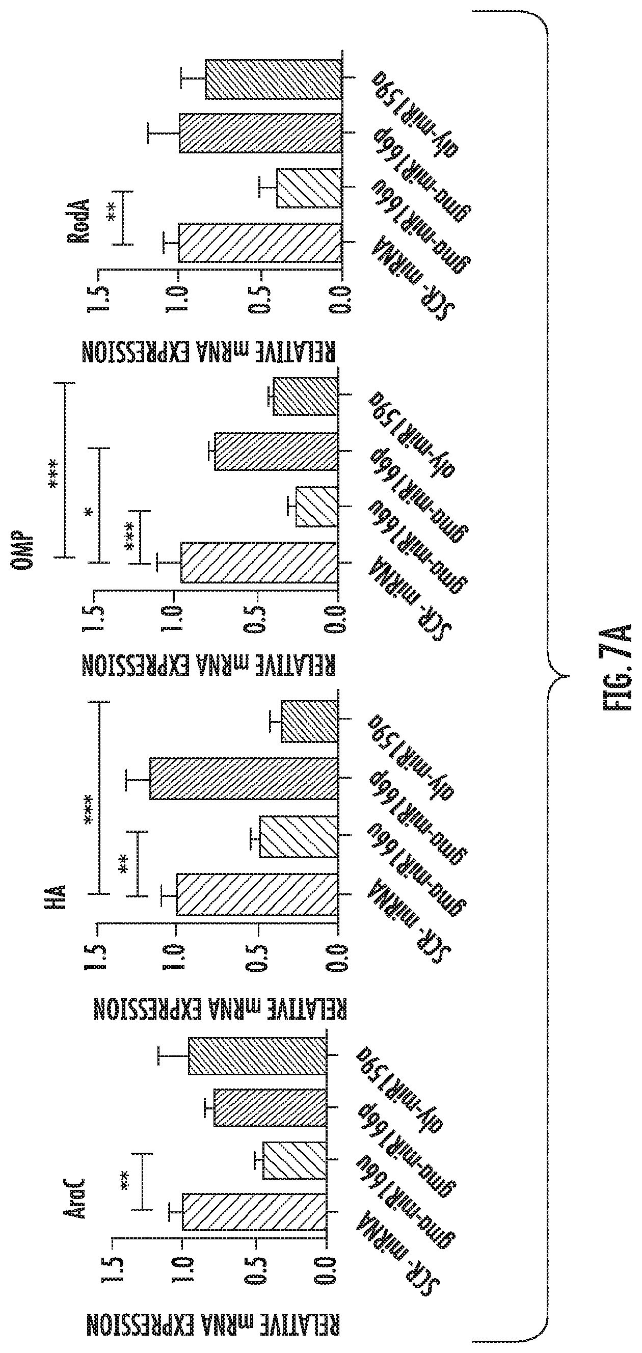 Patent US12616663 Figure 9 – Plant-derived exosome-like nanoparticles inhibit bacterial pathogenicity