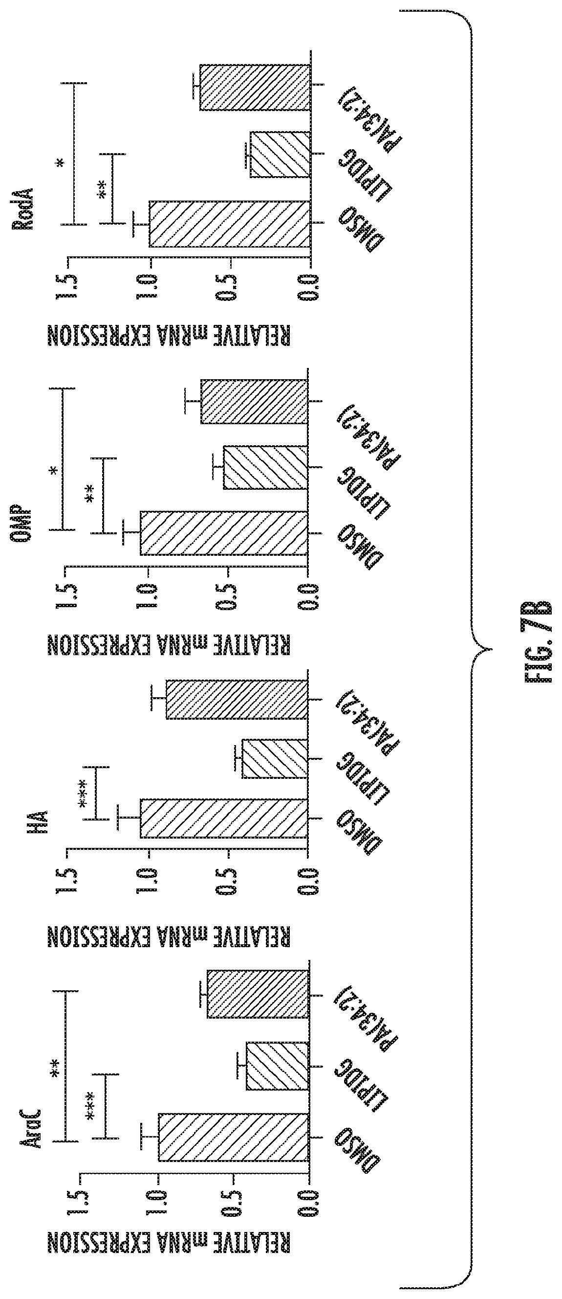 Patent US12616663 Figure 10 – Plant-derived exosome-like nanoparticles inhibit bacterial pathogenicity