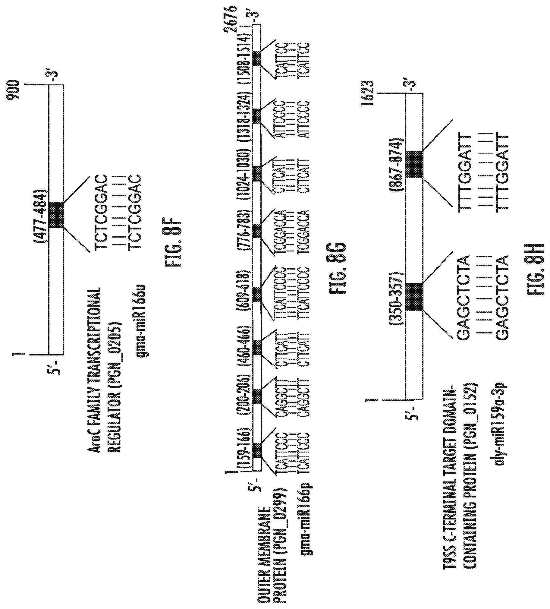 Patent US12616663 Figure 12 – Plant-derived exosome-like nanoparticles inhibit bacterial pathogenicity