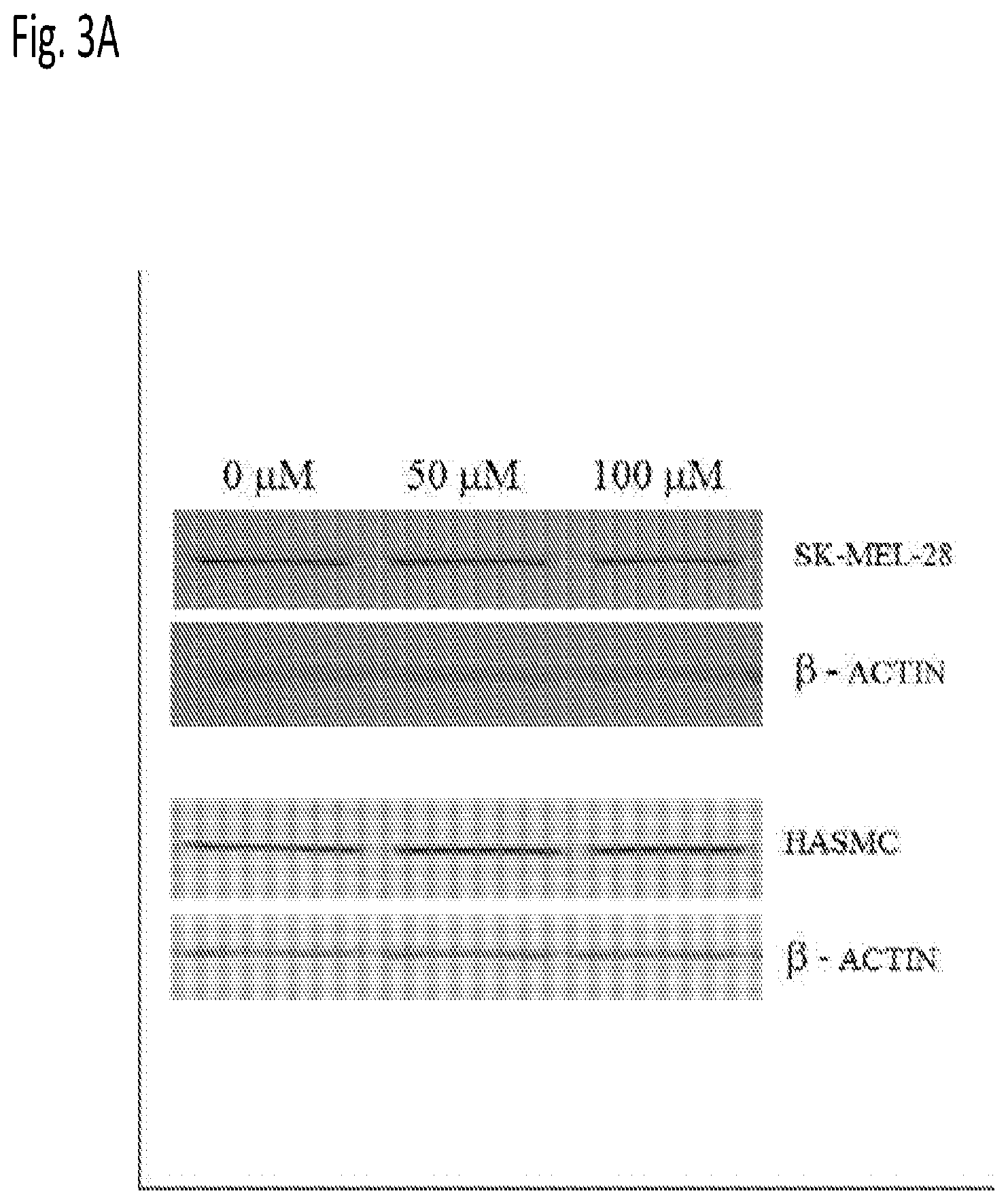 Patent US12616666 Figure 4 – Coenzyme Q10 formulations in the treatment and prevention of epidermolysis bullosa