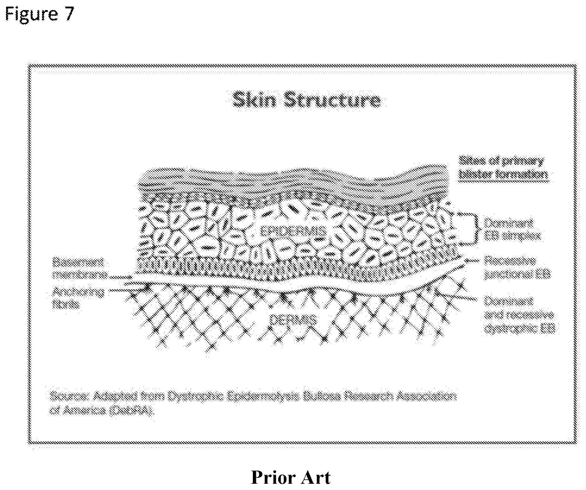 Patent US12616666 Figure 10 – Coenzyme Q10 formulations in the treatment and prevention of epidermolysis bullosa