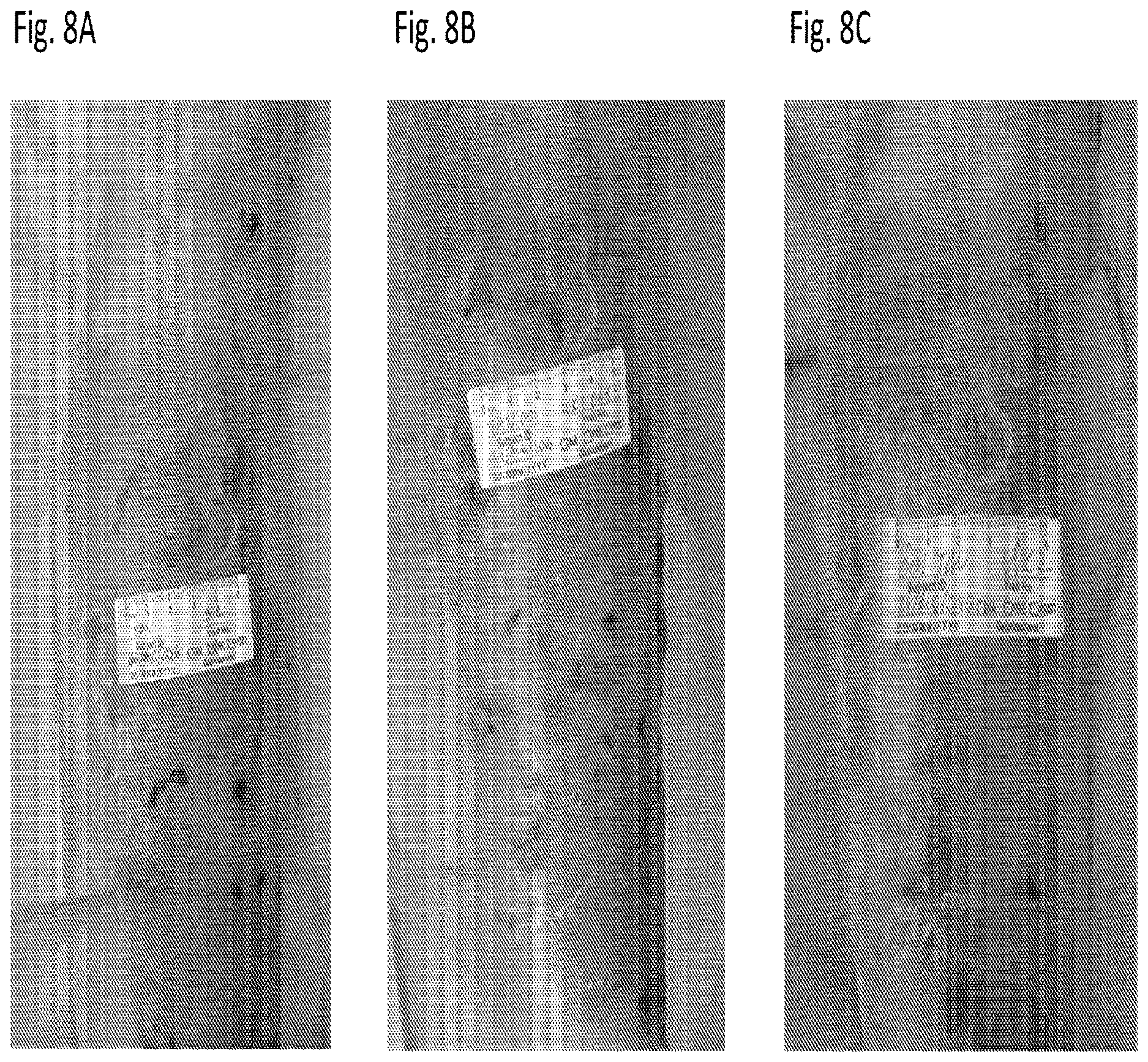 Patent US12616666 Figure 11 – Coenzyme Q10 formulations in the treatment and prevention of epidermolysis bullosa