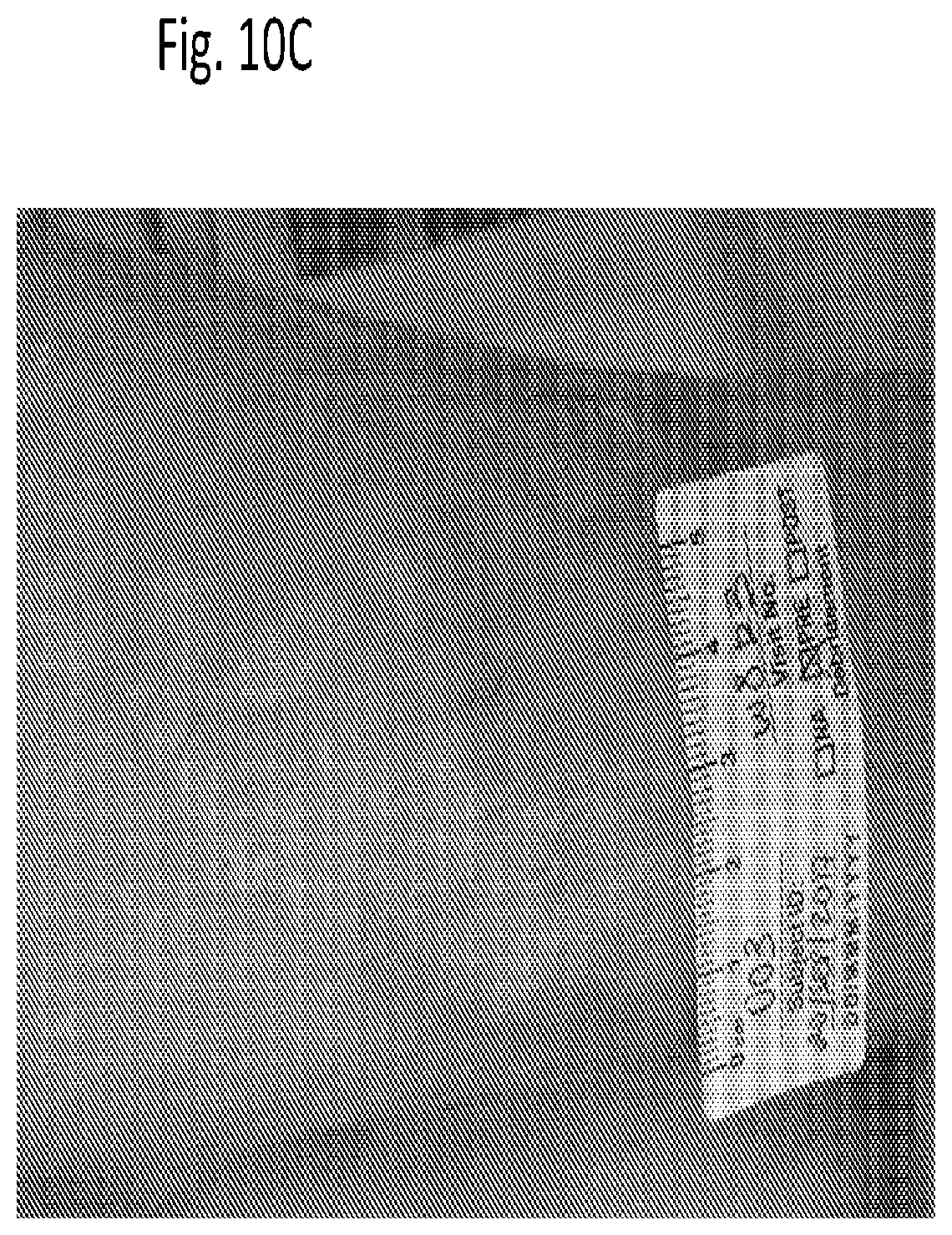 Patent US12616666 Figure 14 – Coenzyme Q10 formulations in the treatment and prevention of epidermolysis bullosa