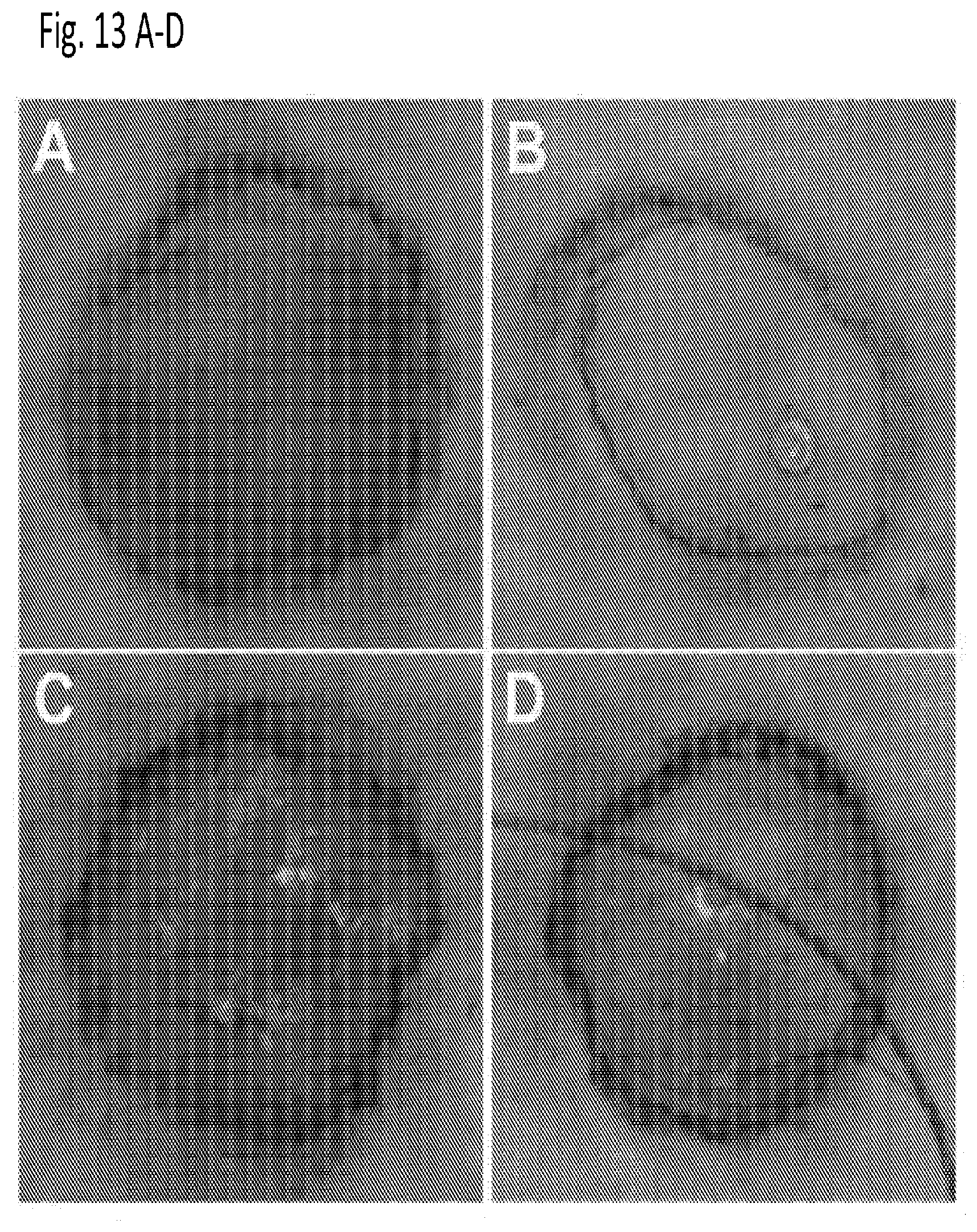 Patent US12616666 Figure 17 – Coenzyme Q10 formulations in the treatment and prevention of epidermolysis bullosa