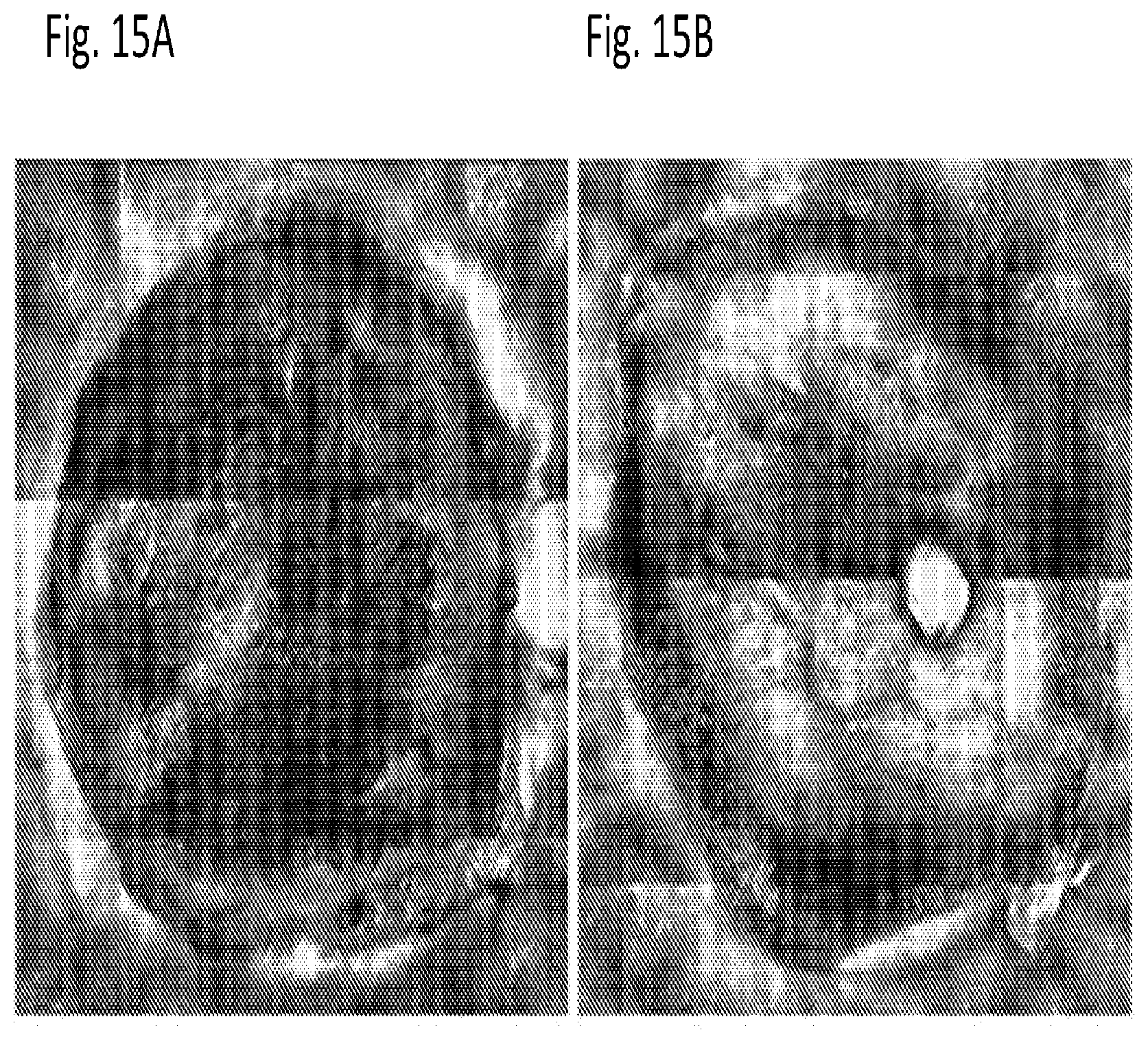 Patent US12616666 Figure 19 – Coenzyme Q10 formulations in the treatment and prevention of epidermolysis bullosa