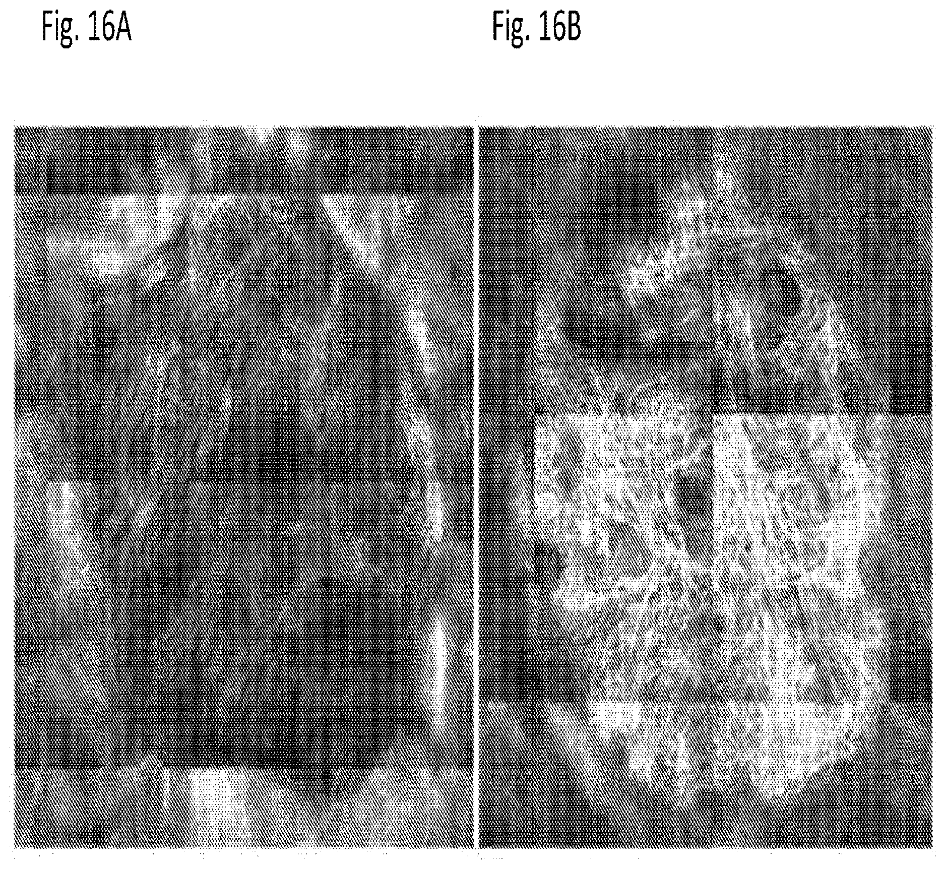 Patent US12616666 Figure 20 – Coenzyme Q10 formulations in the treatment and prevention of epidermolysis bullosa