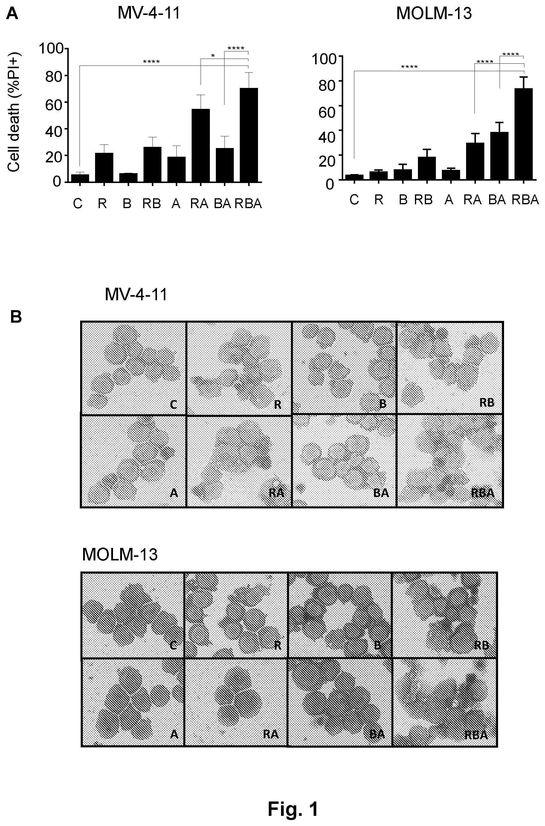 Patent US12616673 Figure 1 – Compounds for use in the treatment of leukemia