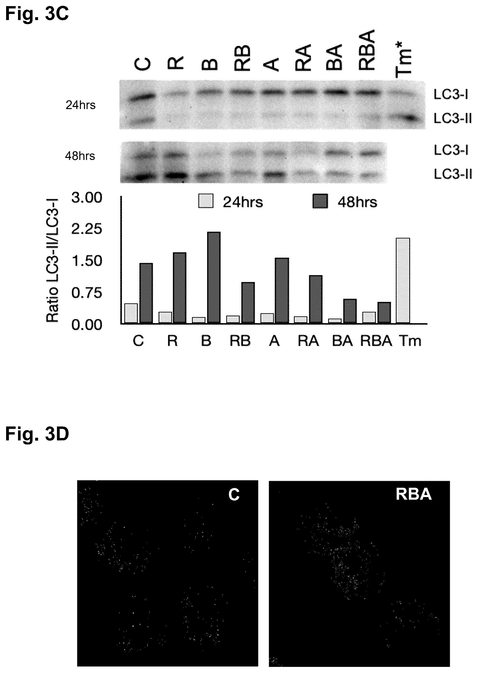 Patent US12616673 Figure 5 – Compounds for use in the treatment of leukemia