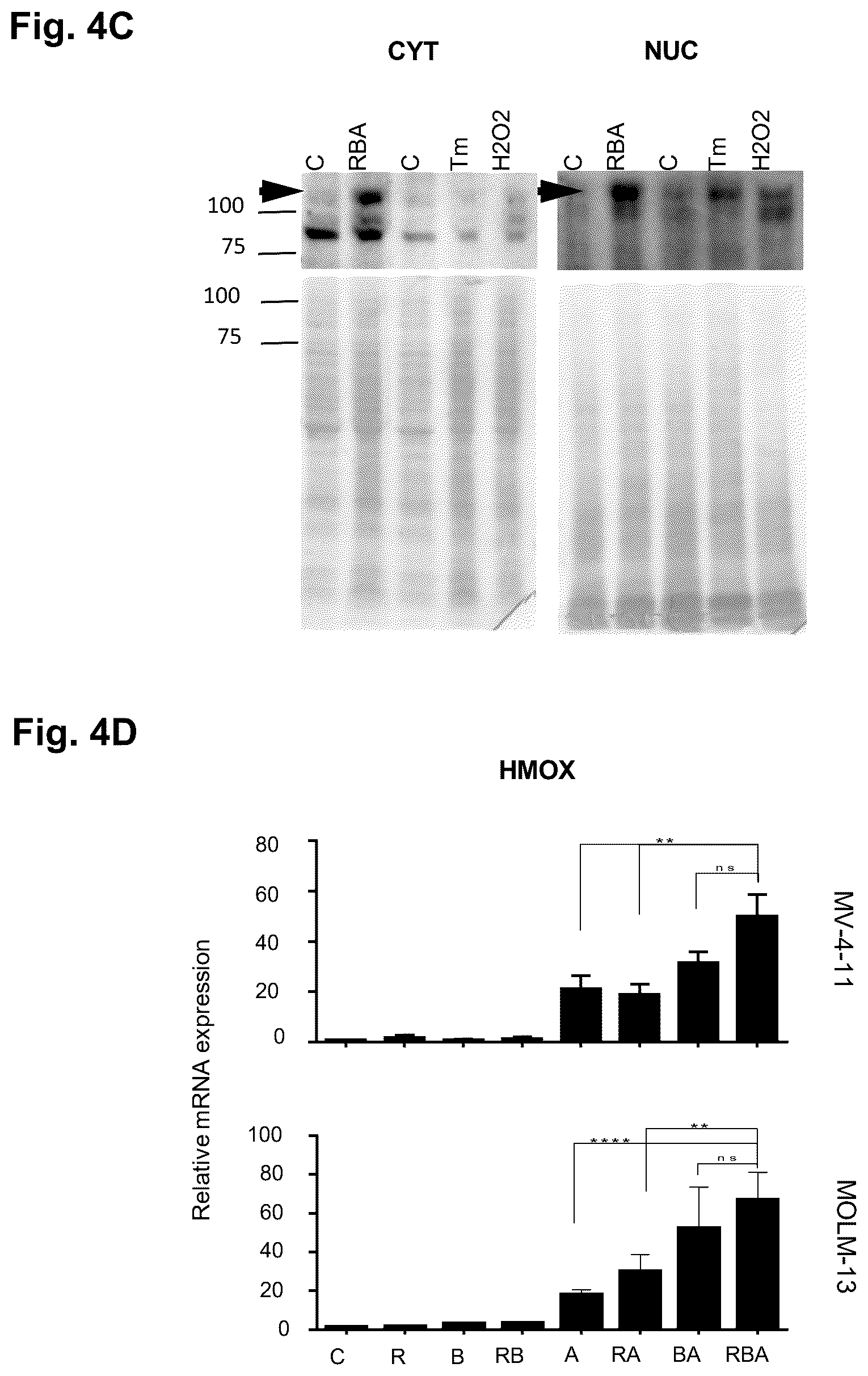 Patent US12616673 Figure 7 – Compounds for use in the treatment of leukemia
