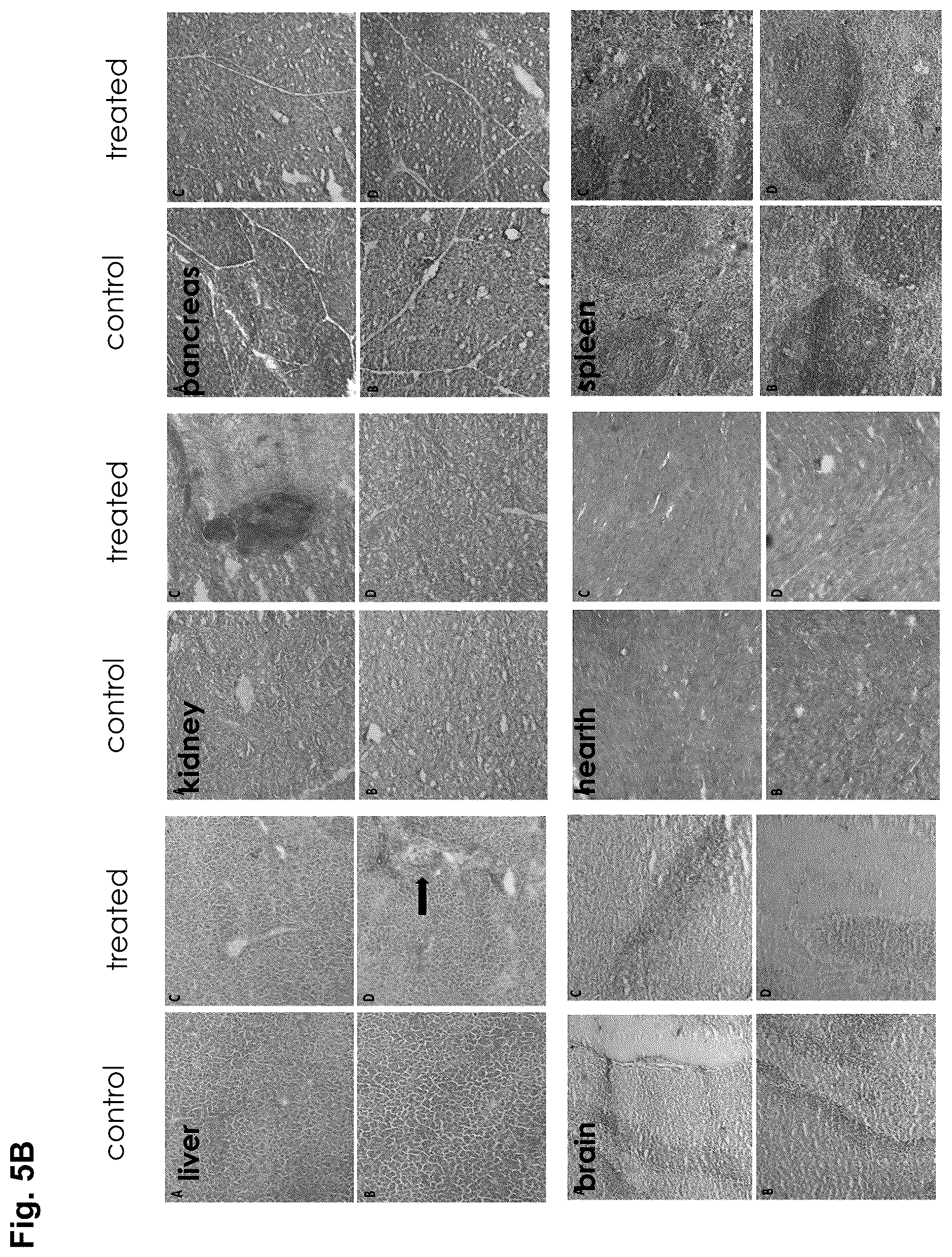 Patent US12616673 Figure 10 – Compounds for use in the treatment of leukemia