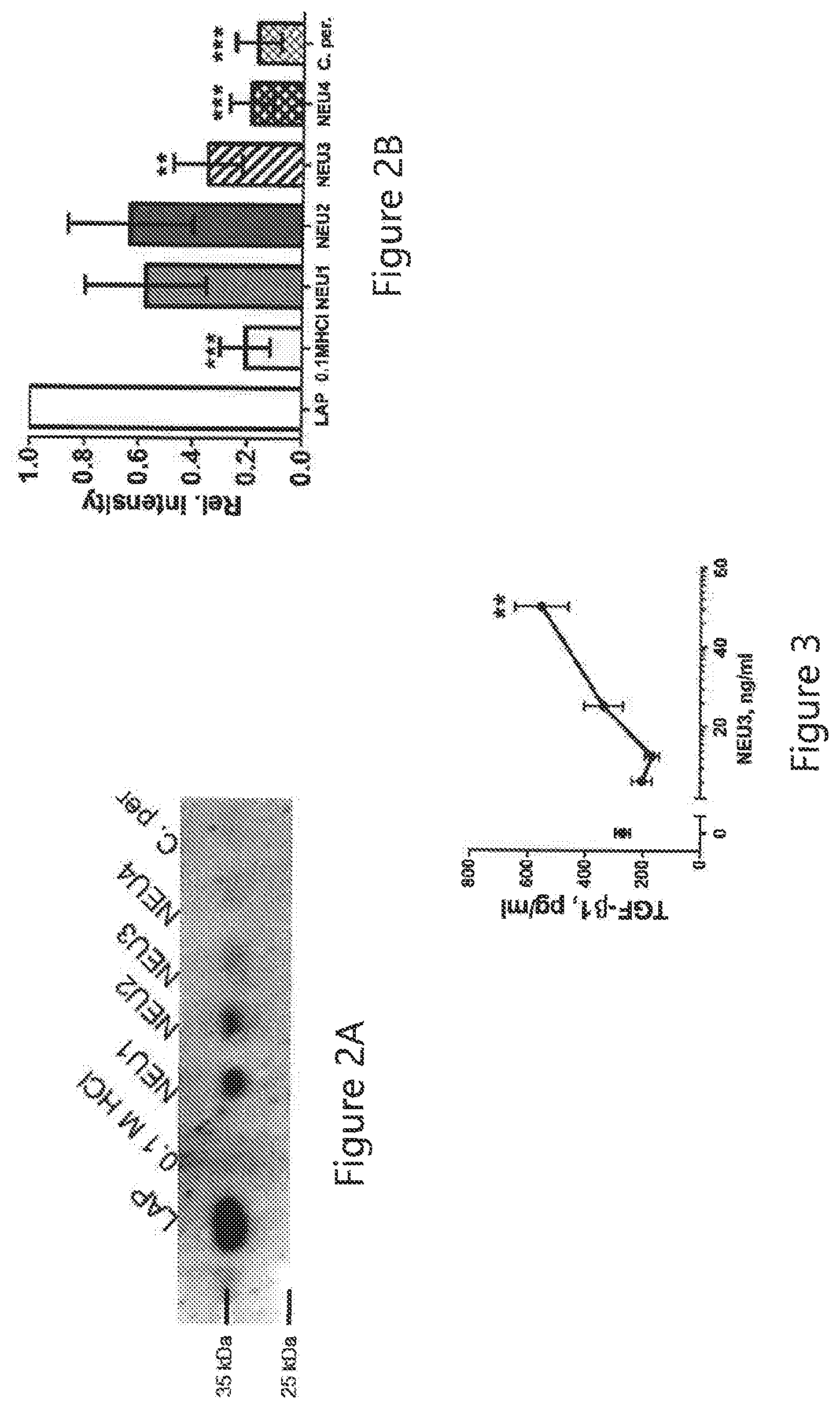 Patent US12616674 Figure 2 – Anti-fibrotic NEU3 inhibitor compounds and methods of use