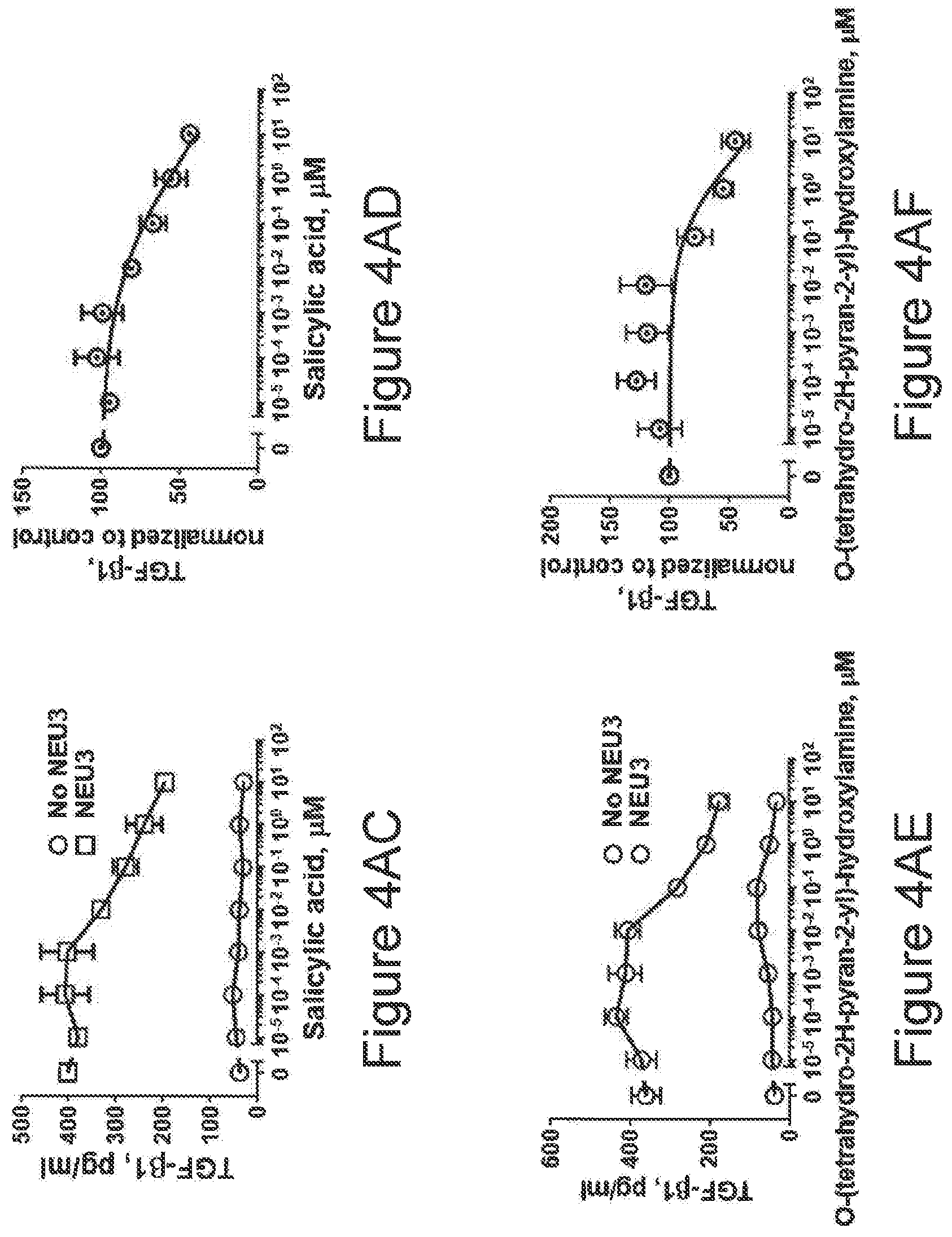 Patent US12616674 Figure 10 – Anti-fibrotic NEU3 inhibitor compounds and methods of use