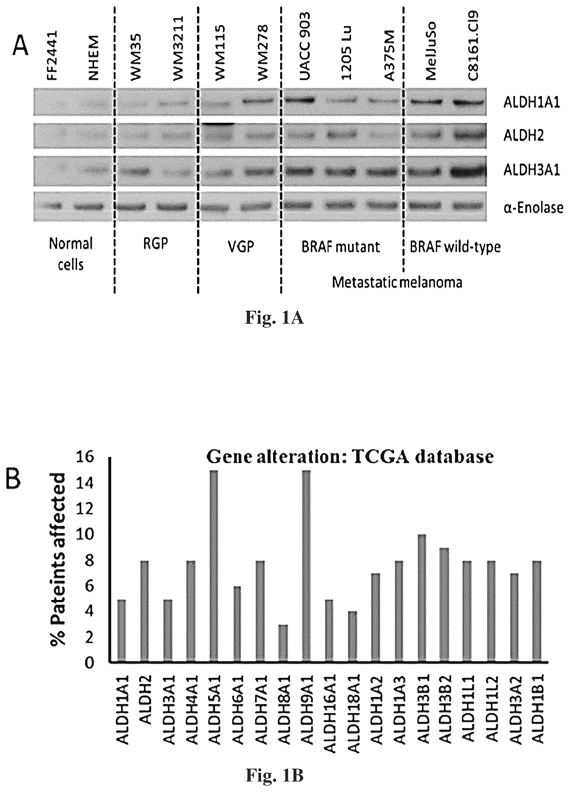 Patent US12616678 Figure 1 – Methods to of aldehyde dehydrogenases for treatment of cancer