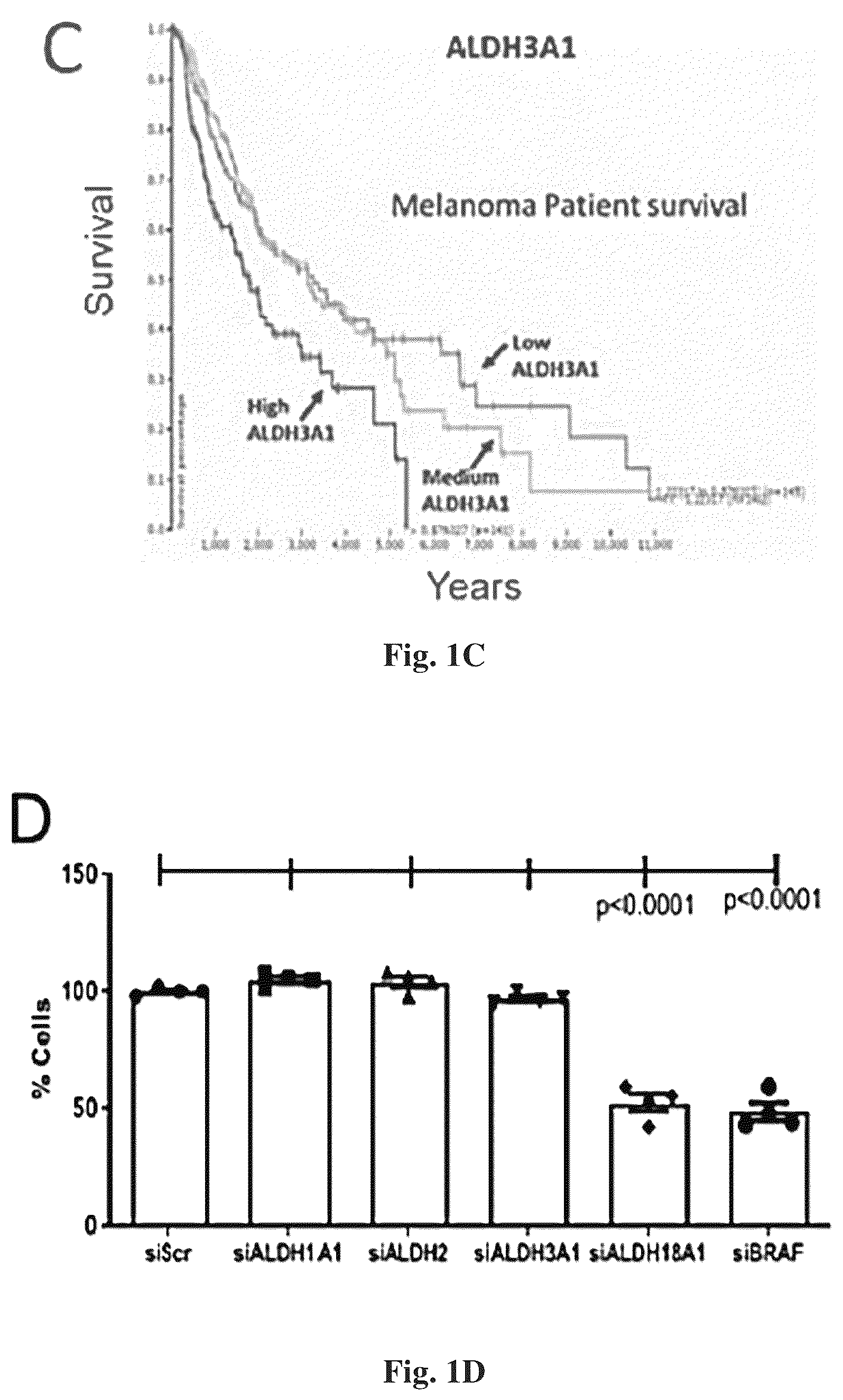Patent US12616678 Figure 2 – Methods to of aldehyde dehydrogenases for treatment of cancer