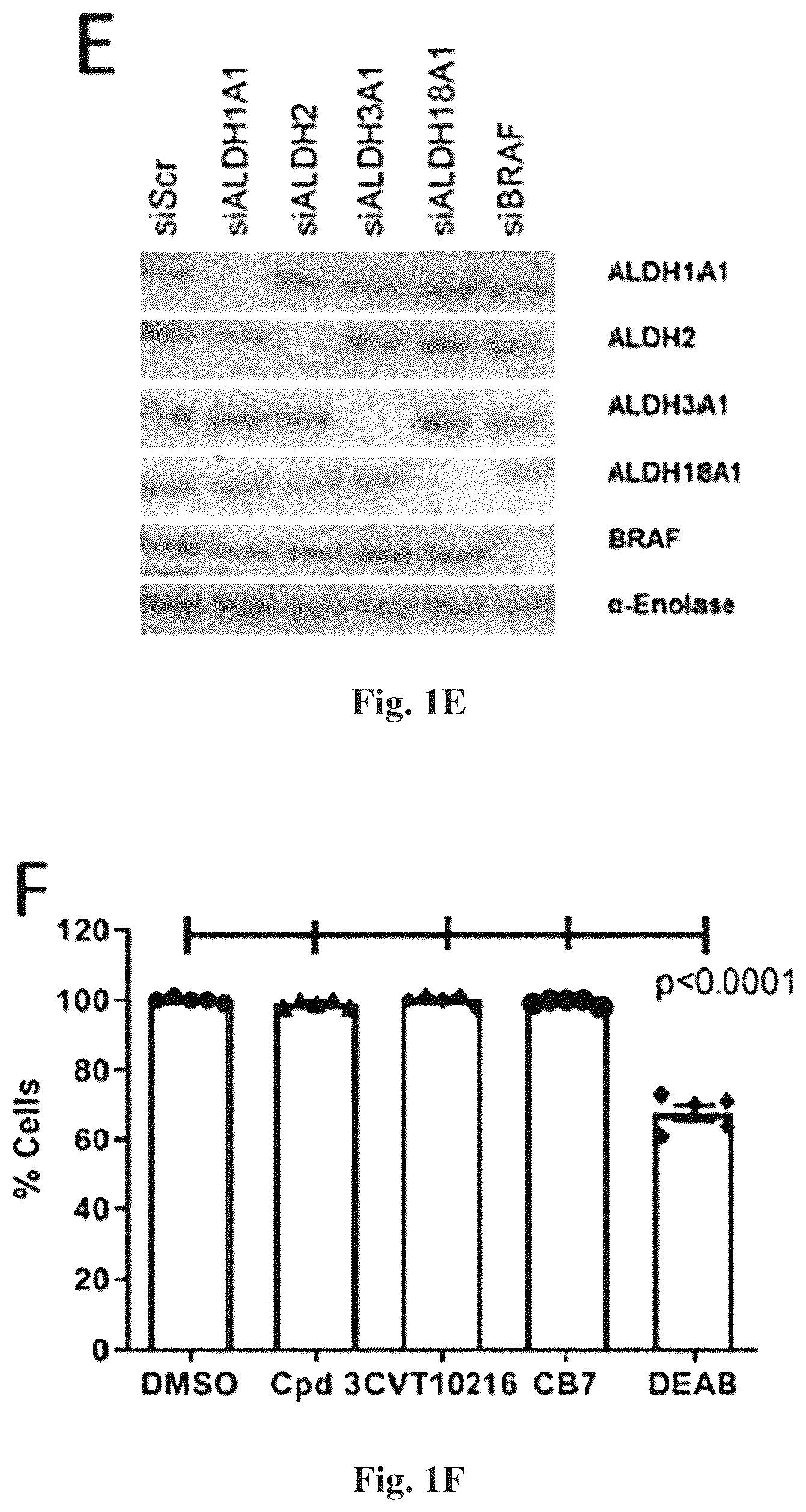 Patent US12616678 Figure 3 – Methods to of aldehyde dehydrogenases for treatment of cancer