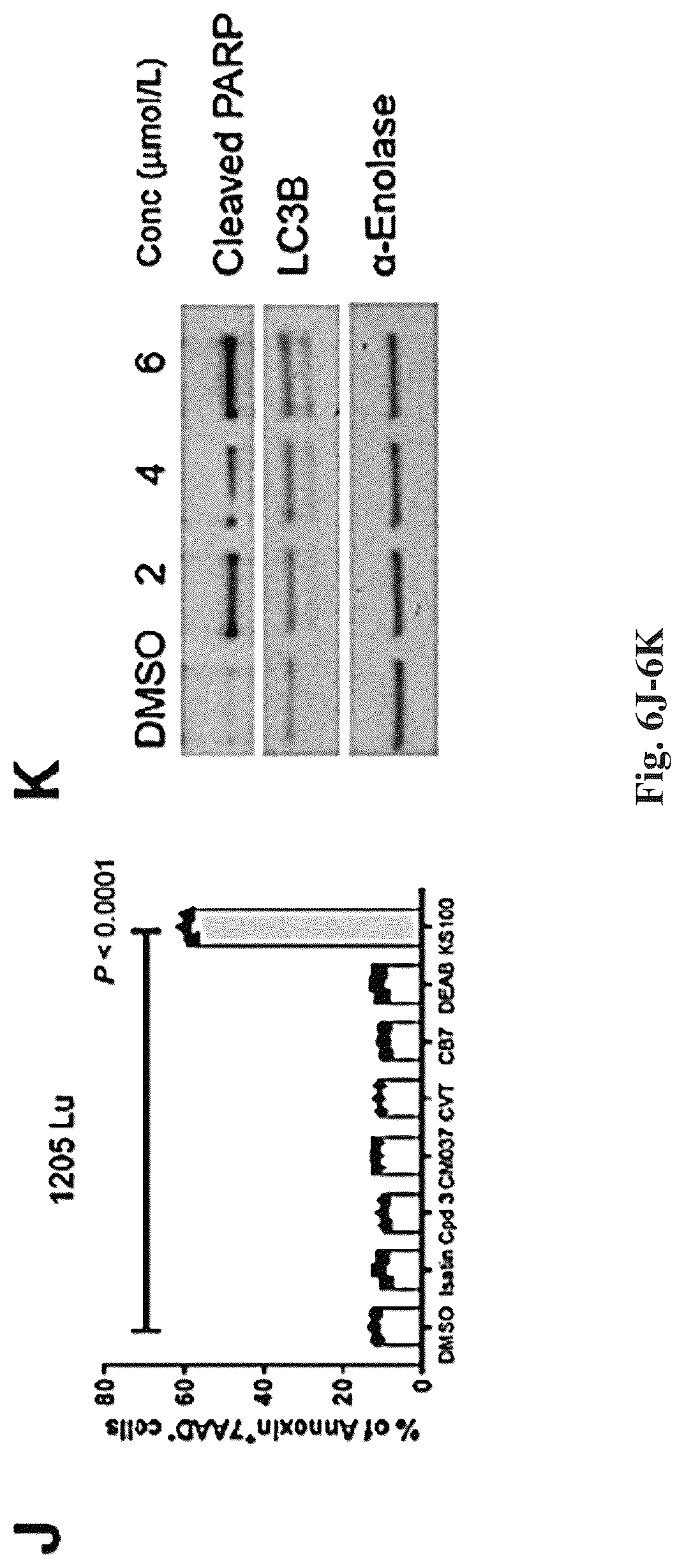 Patent US12616678 Figure 16 – Methods to of aldehyde dehydrogenases for treatment of cancer