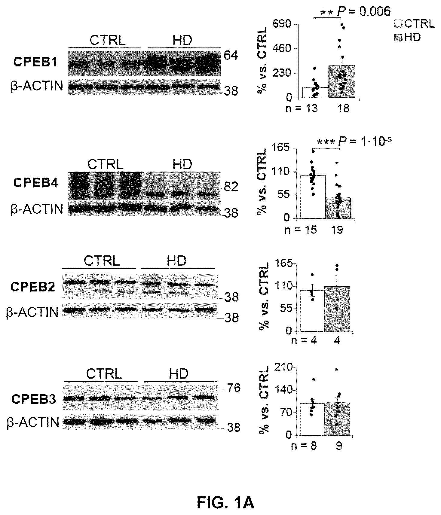 Patent US12616680 Figure 1 – Combined use of biotin and thiamine in the treatment of huntington's disease