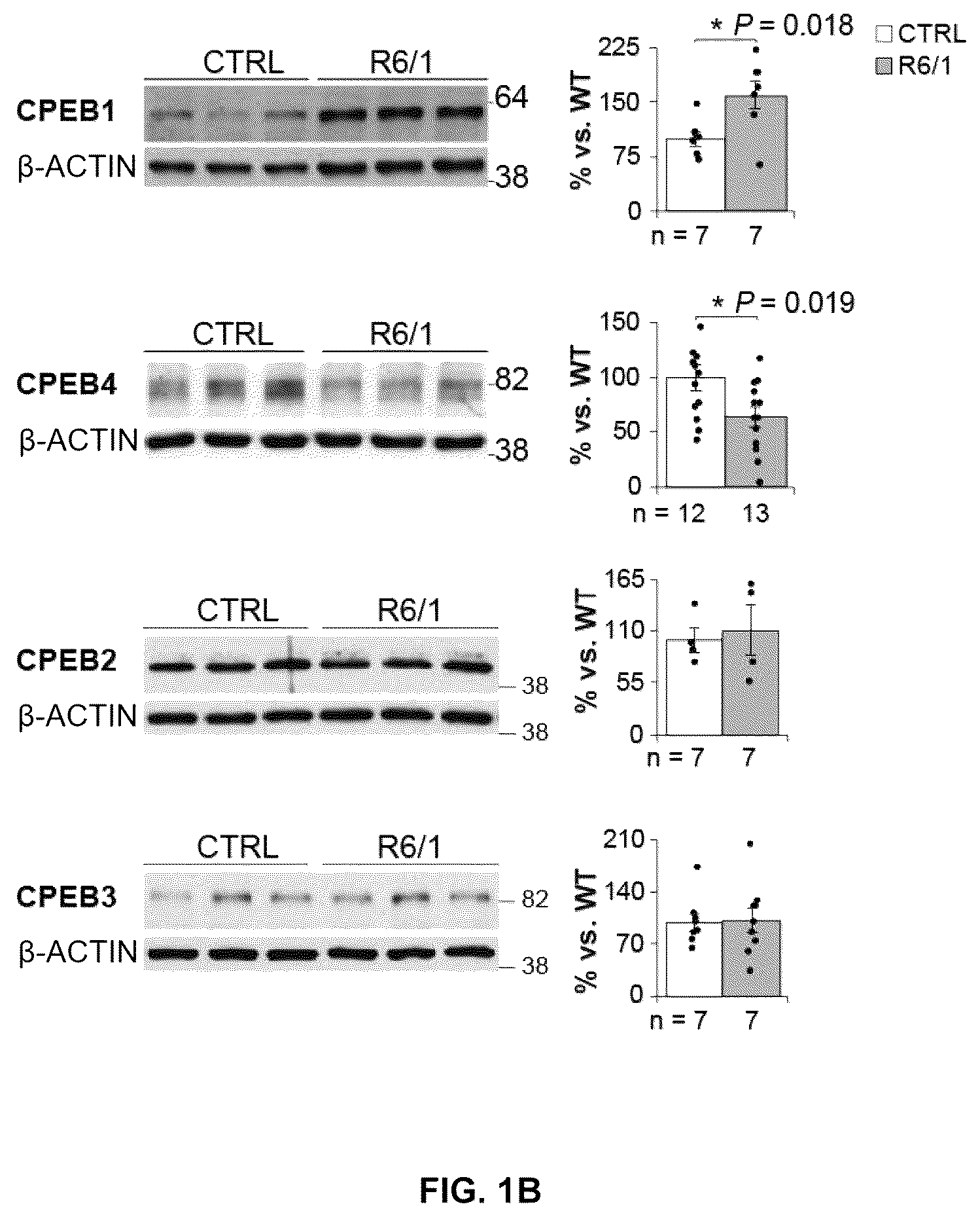 Patent US12616680 Figure 2 – Combined use of biotin and thiamine in the treatment of huntington's disease
