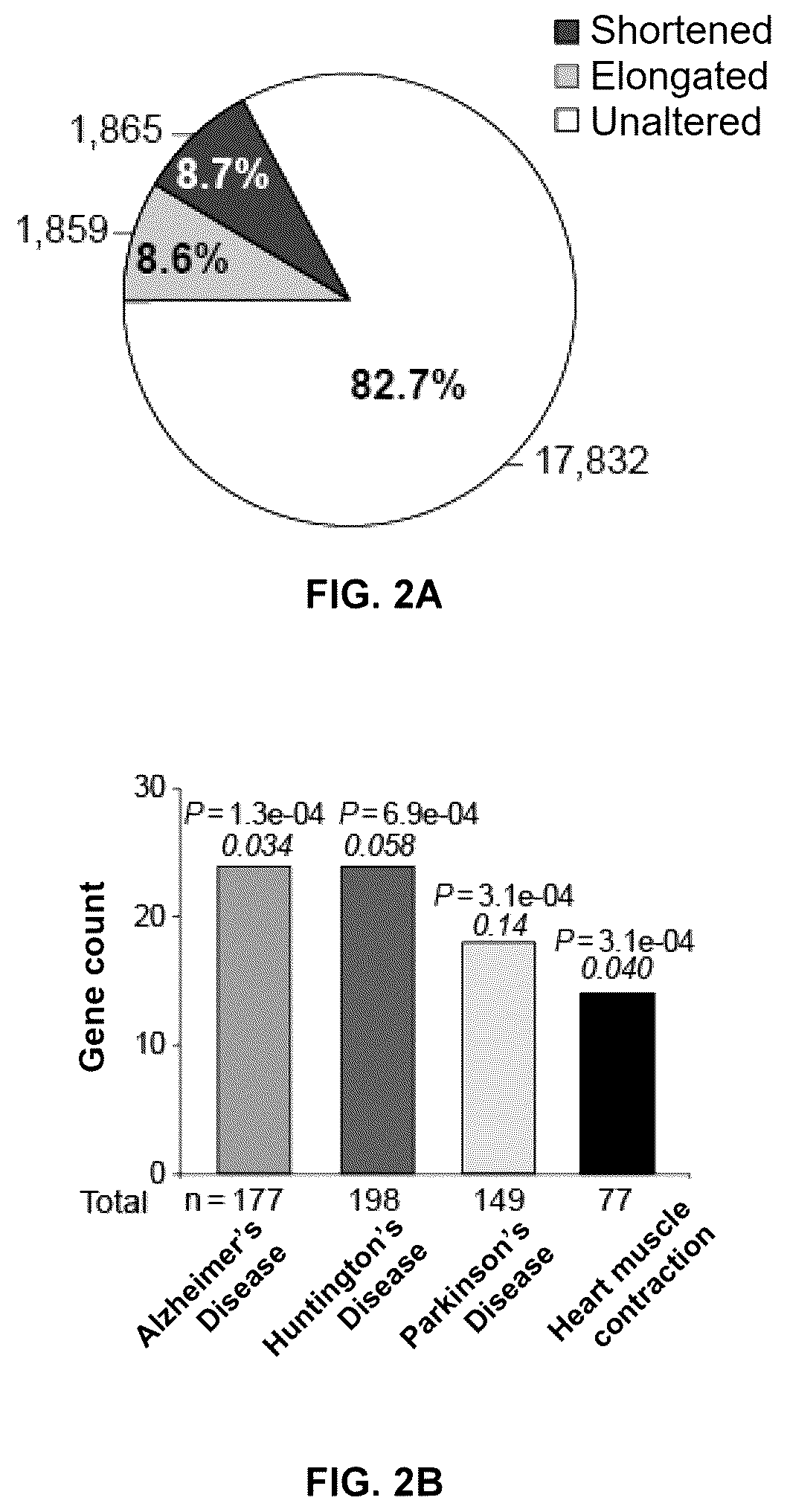 Patent US12616680 Figure 4 – Combined use of biotin and thiamine in the treatment of huntington's disease