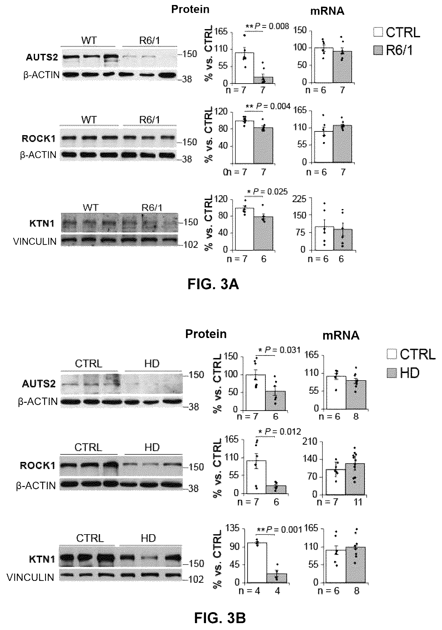 Patent US12616680 Figure 6 – Combined use of biotin and thiamine in the treatment of huntington's disease