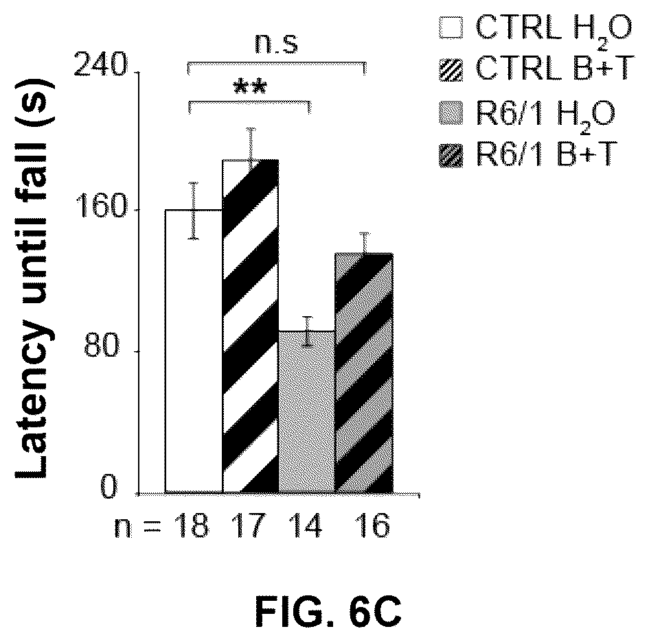 Patent US12616680 Figure 11 – Combined use of biotin and thiamine in the treatment of huntington's disease