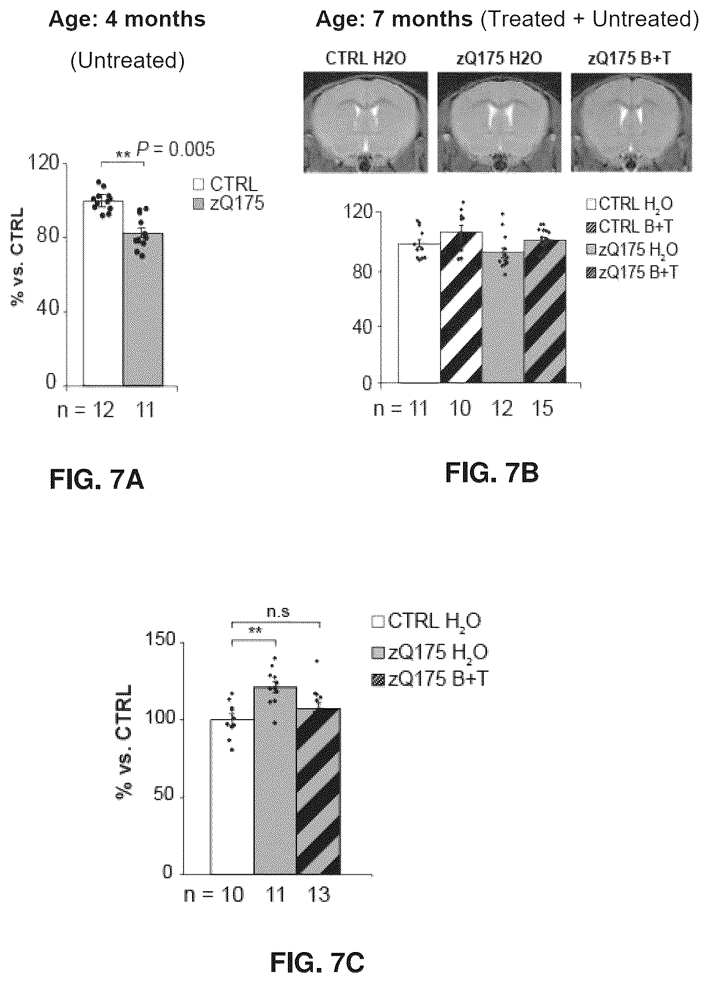 Patent US12616680 Figure 12 – Combined use of biotin and thiamine in the treatment of huntington's disease