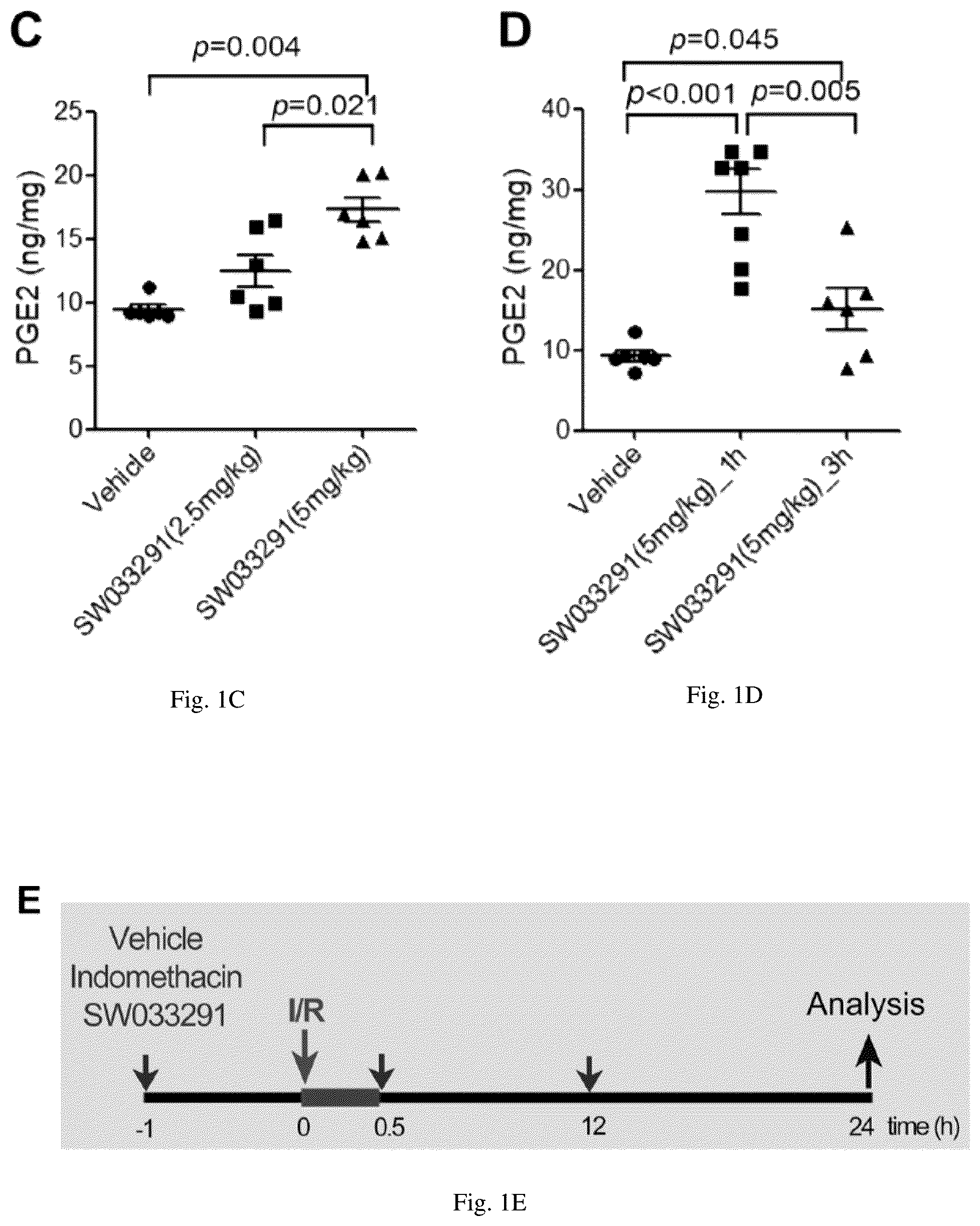 Patent US12616681 Figure 2 – Compositions and methods for treating renal injury