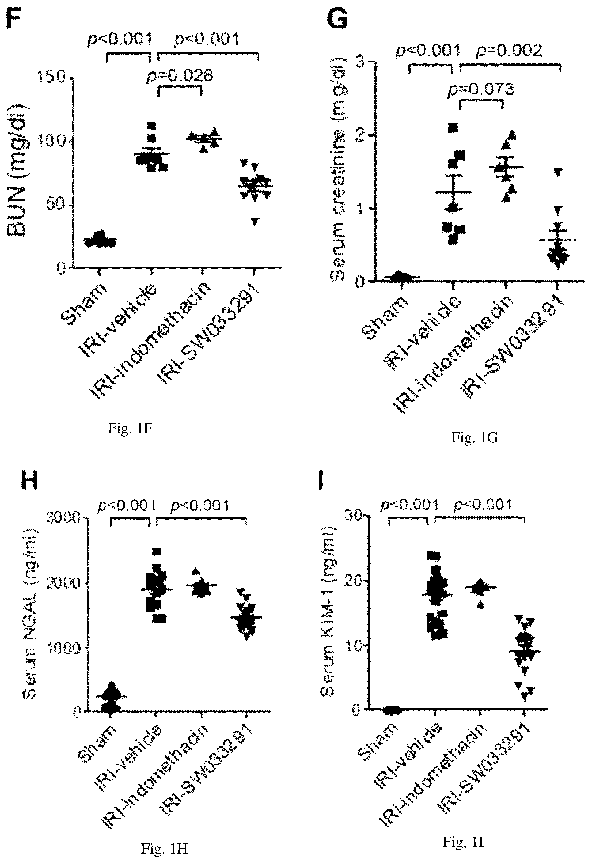Patent US12616681 Figure 3 – Compositions and methods for treating renal injury