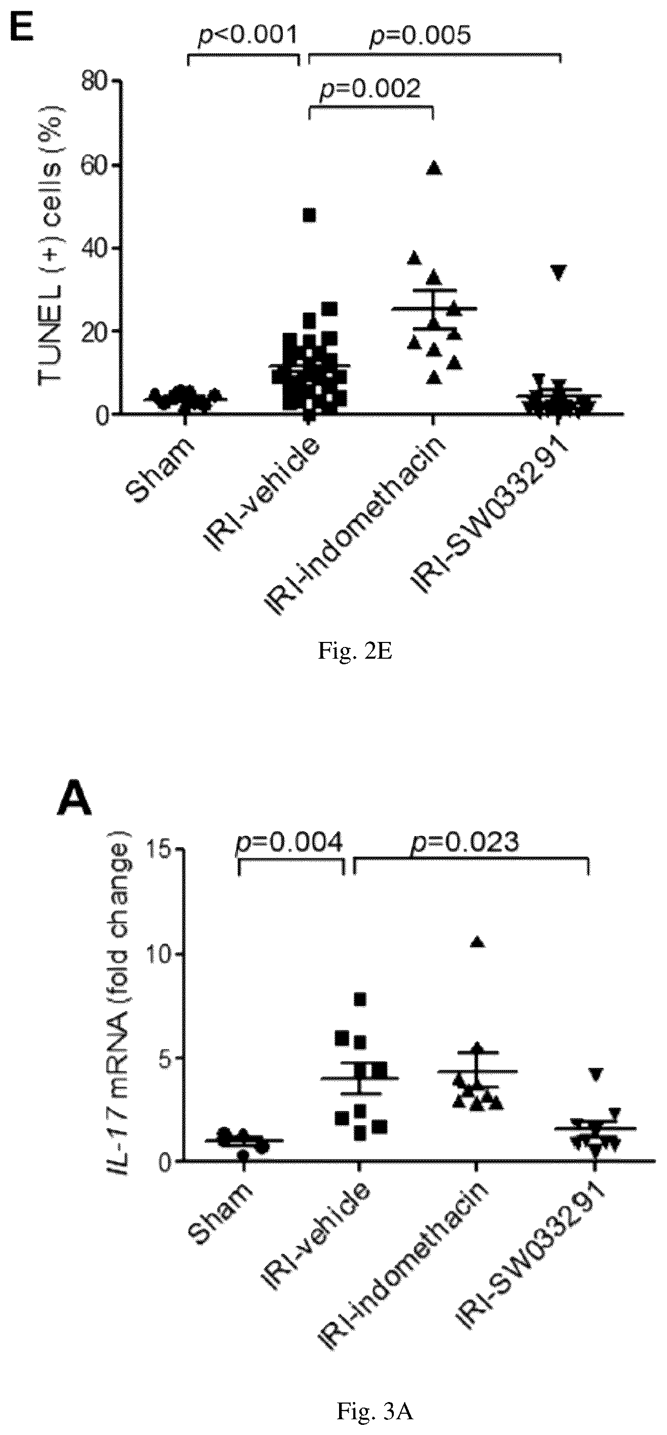 Patent US12616681 Figure 6 – Compositions and methods for treating renal injury