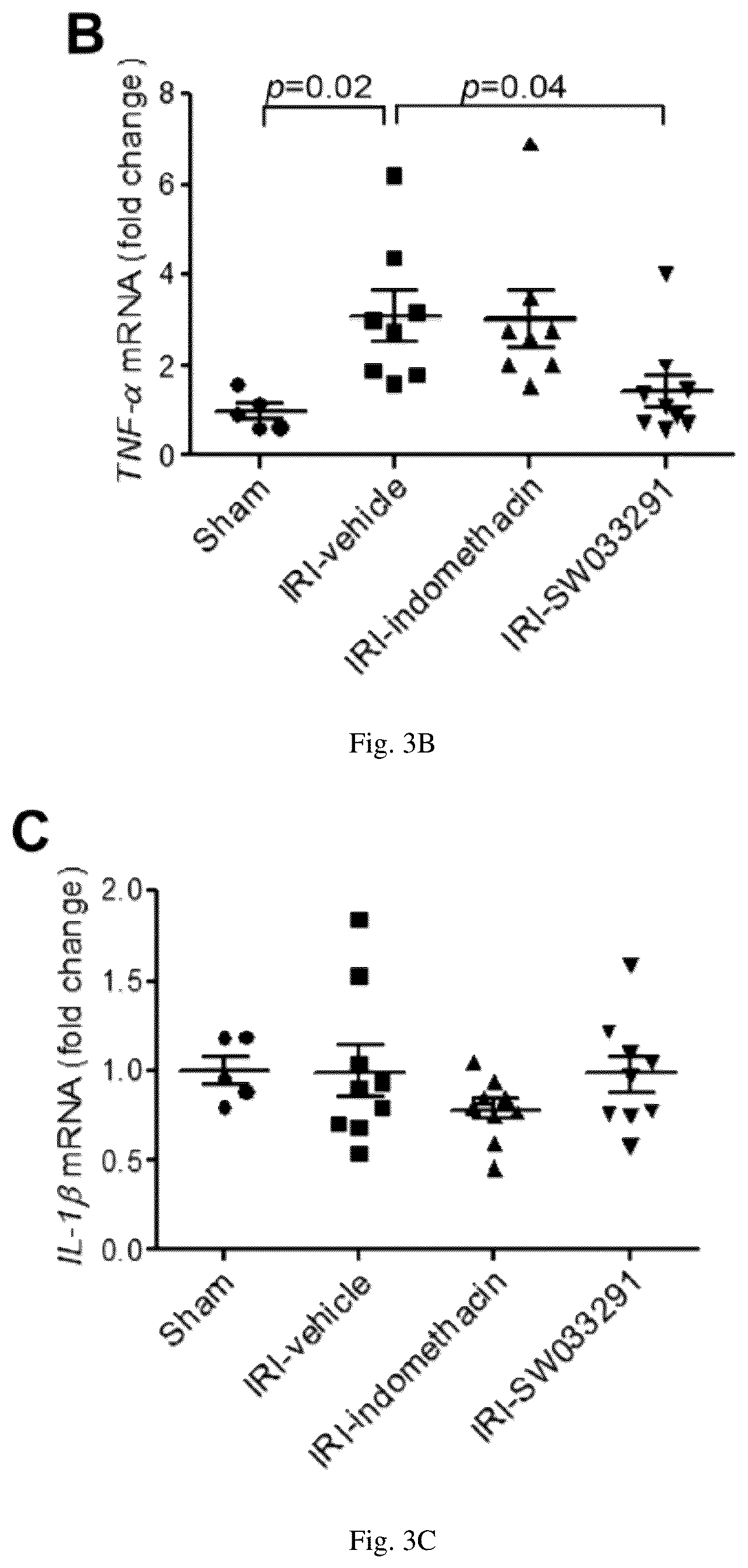 Patent US12616681 Figure 7 – Compositions and methods for treating renal injury