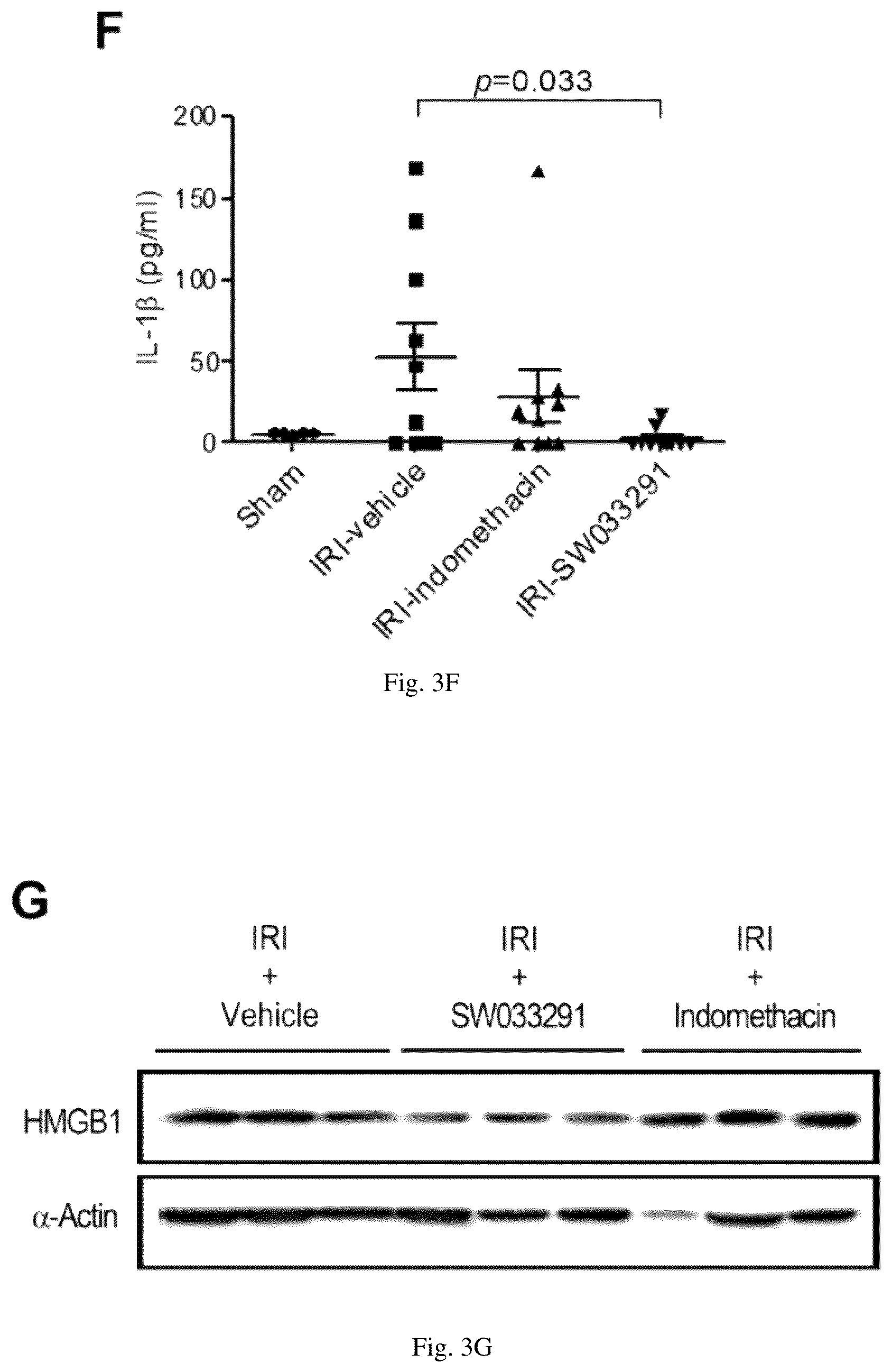 Patent US12616681 Figure 9 – Compositions and methods for treating renal injury