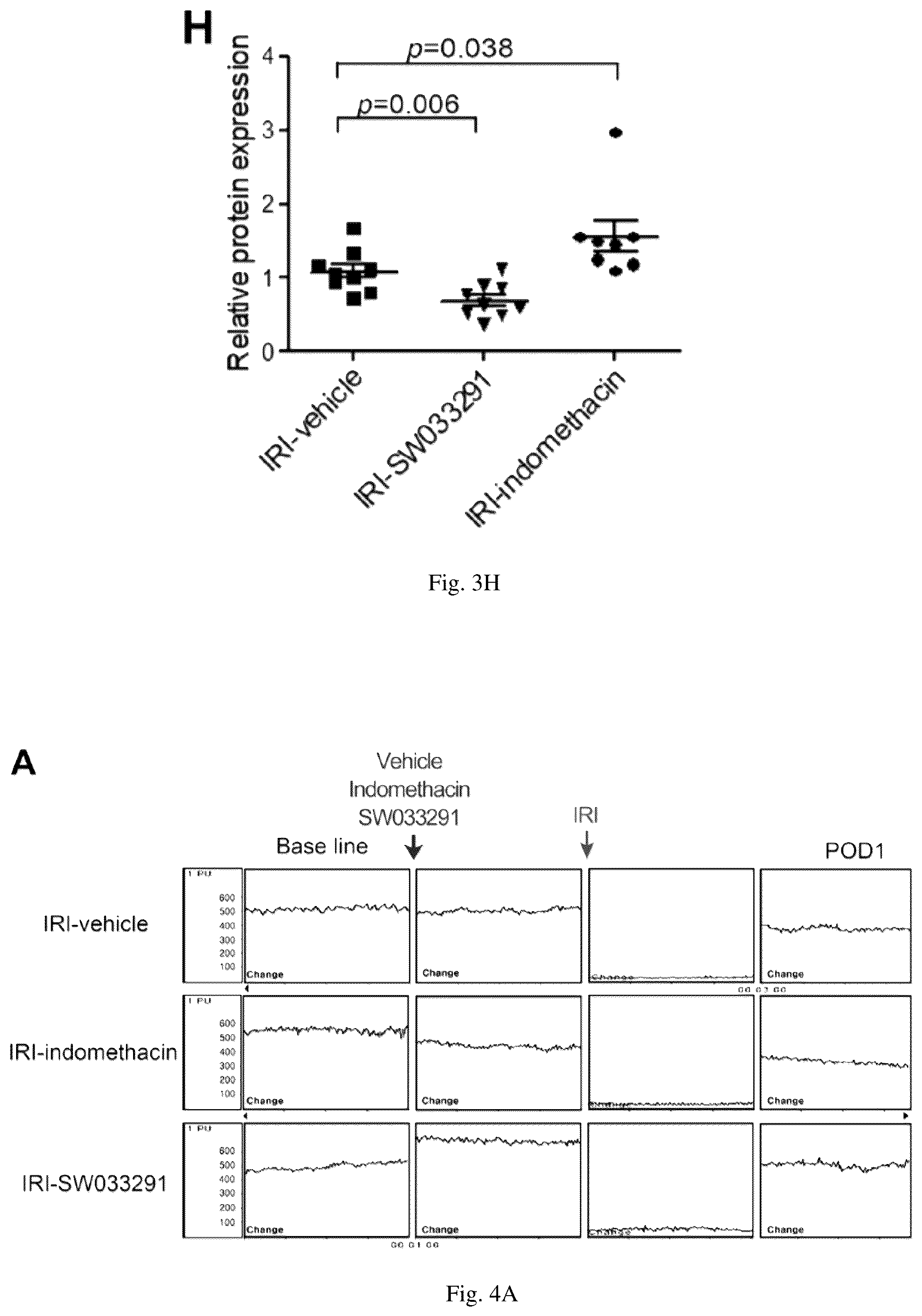 Patent US12616681 Figure 10 – Compositions and methods for treating renal injury