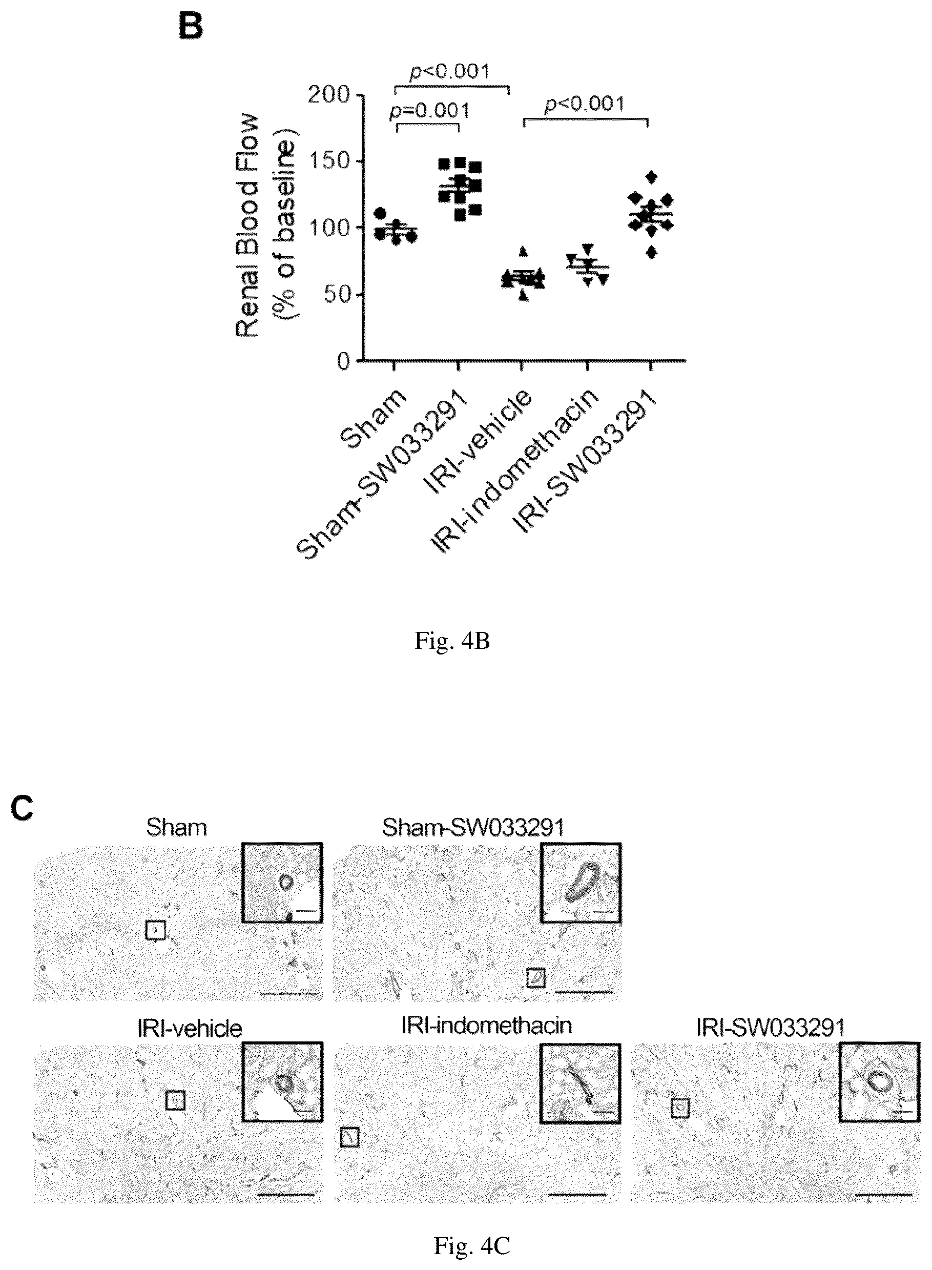 Patent US12616681 Figure 11 – Compositions and methods for treating renal injury