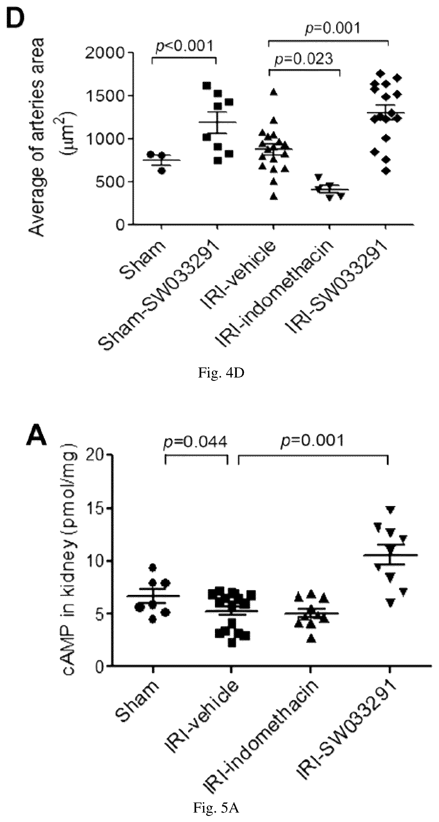 Patent US12616681 Figure 12 – Compositions and methods for treating renal injury