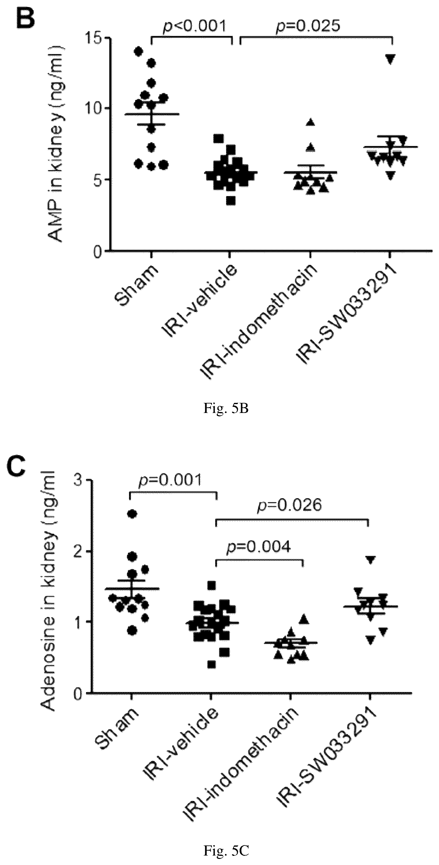 Patent US12616681 Figure 13 – Compositions and methods for treating renal injury