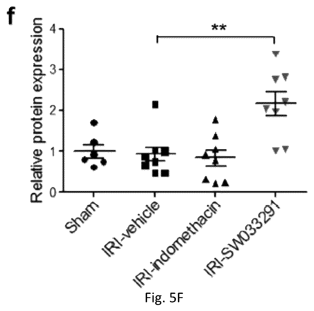 Patent US12616681 Figure 15 – Compositions and methods for treating renal injury