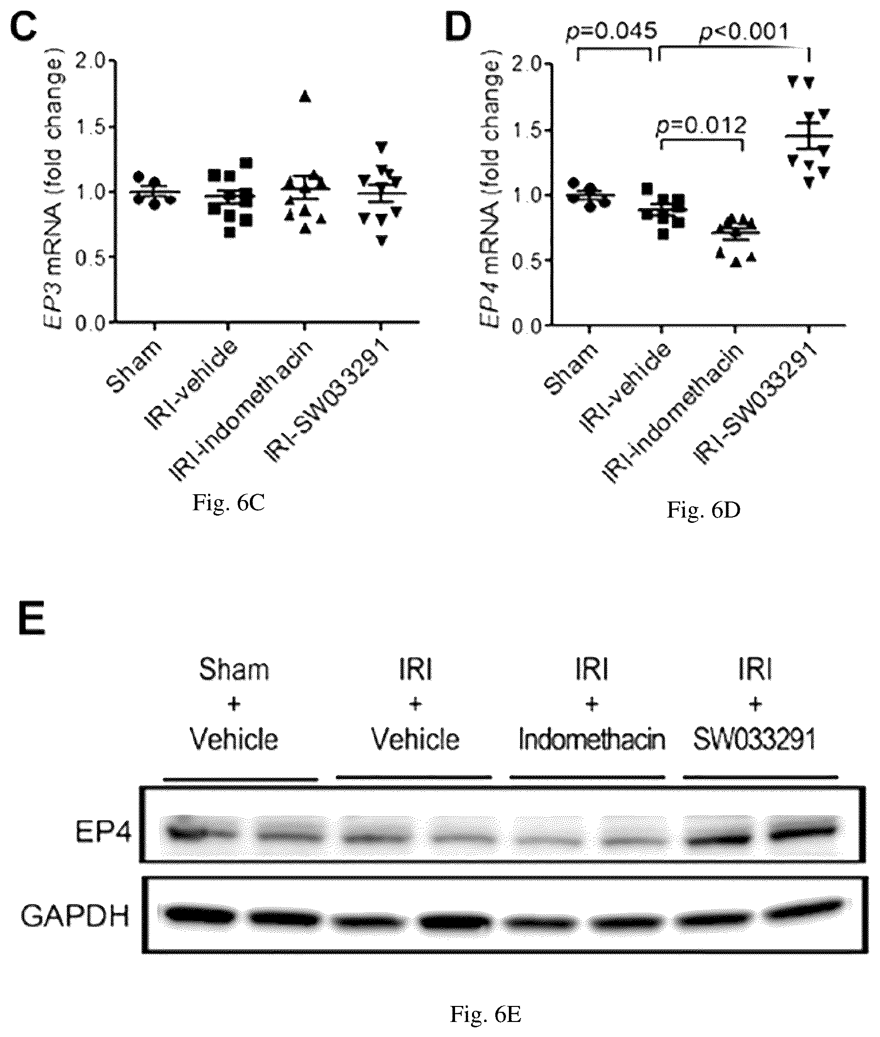 Patent US12616681 Figure 17 – Compositions and methods for treating renal injury