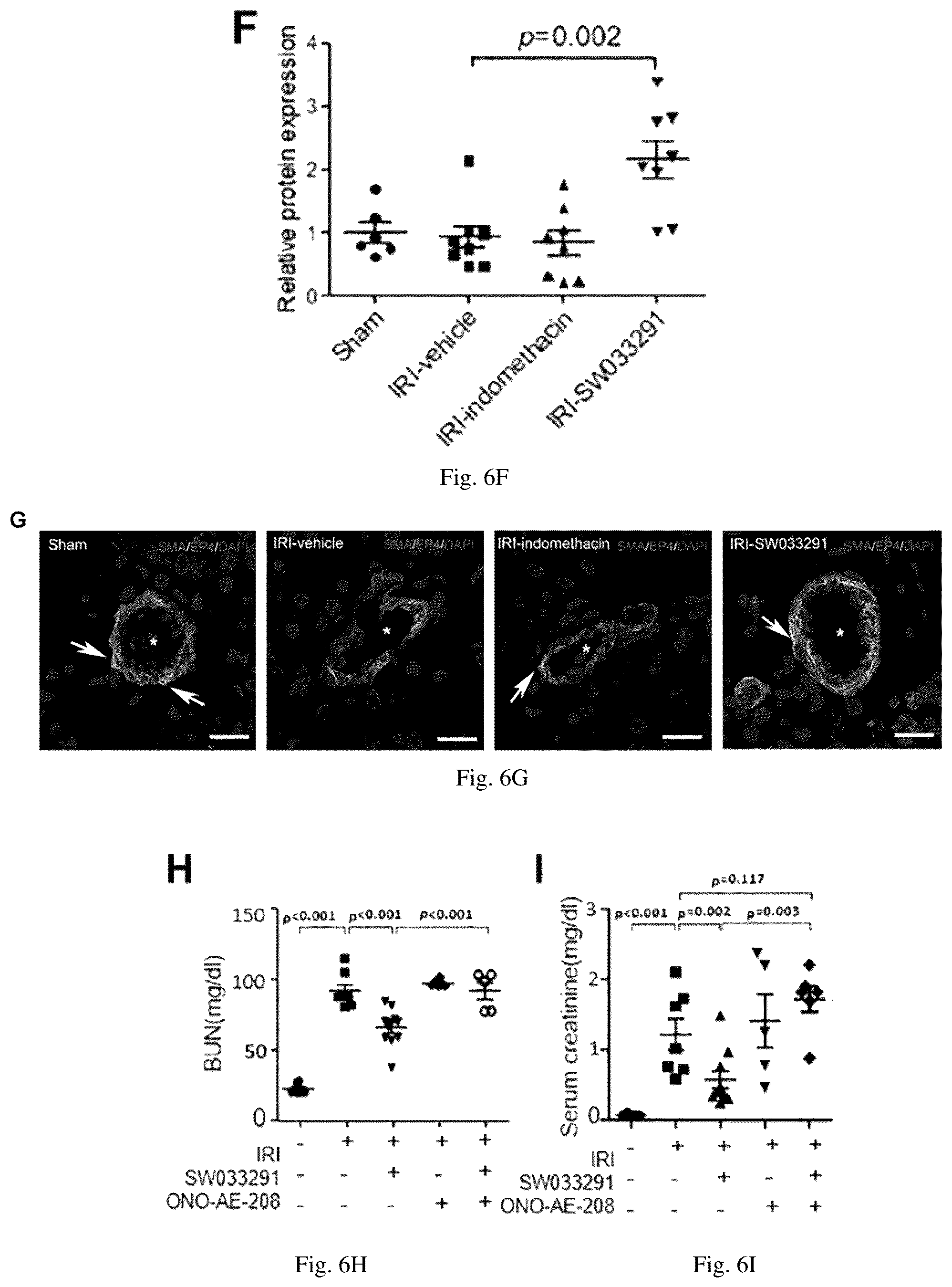 Patent US12616681 Figure 18 – Compositions and methods for treating renal injury