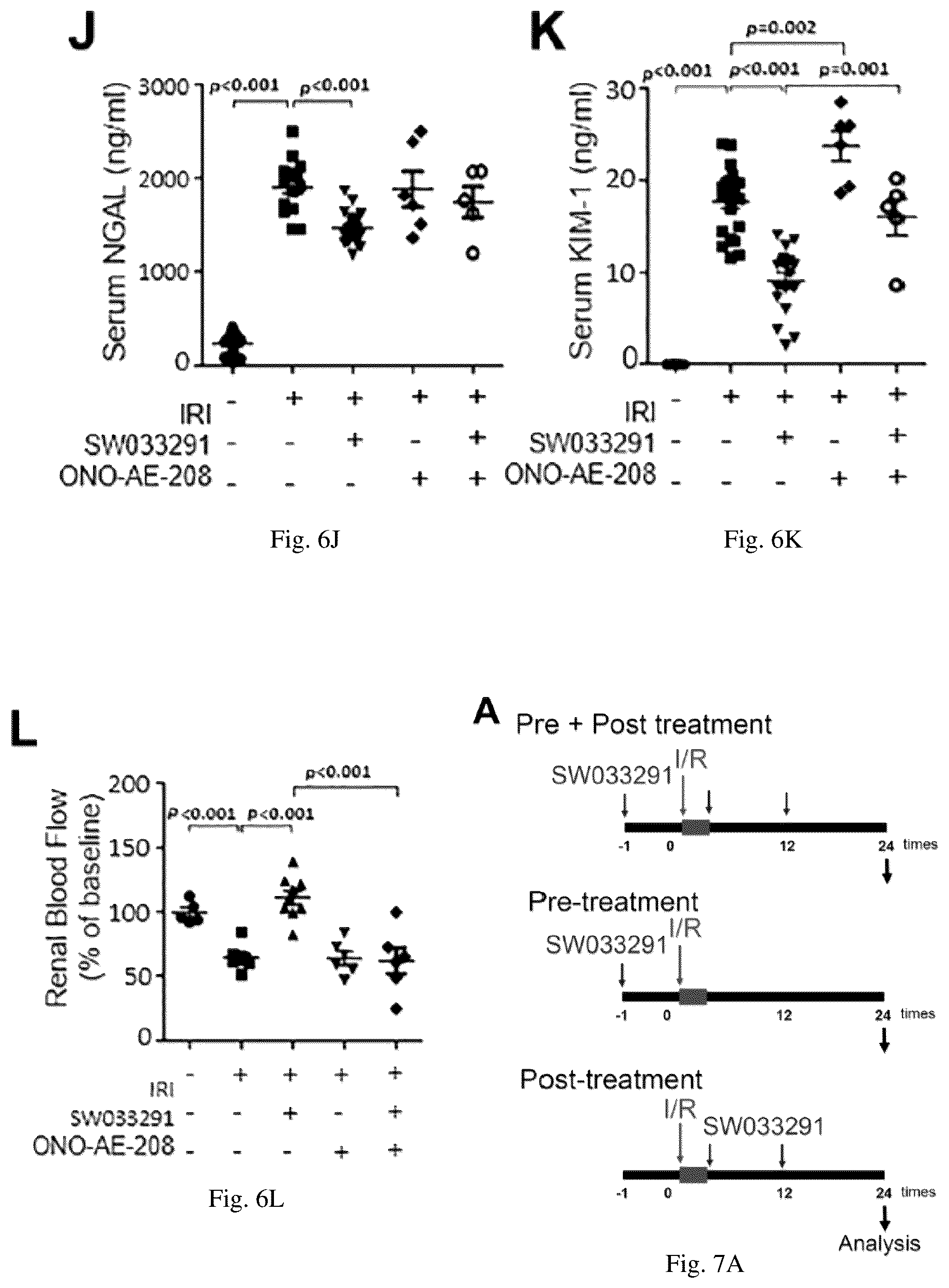 Patent US12616681 Figure 19 – Compositions and methods for treating renal injury
